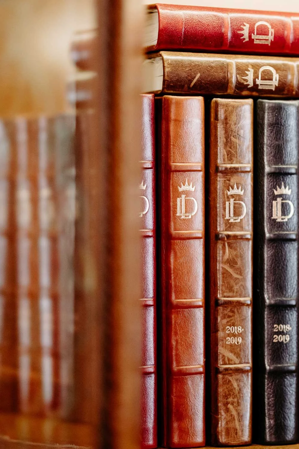 Mehrere ledergebundene Bücher stehen in einem Vitrine, auf dem Buchrücken ist in gold "LD" und eine Jahreszahl eingraviert