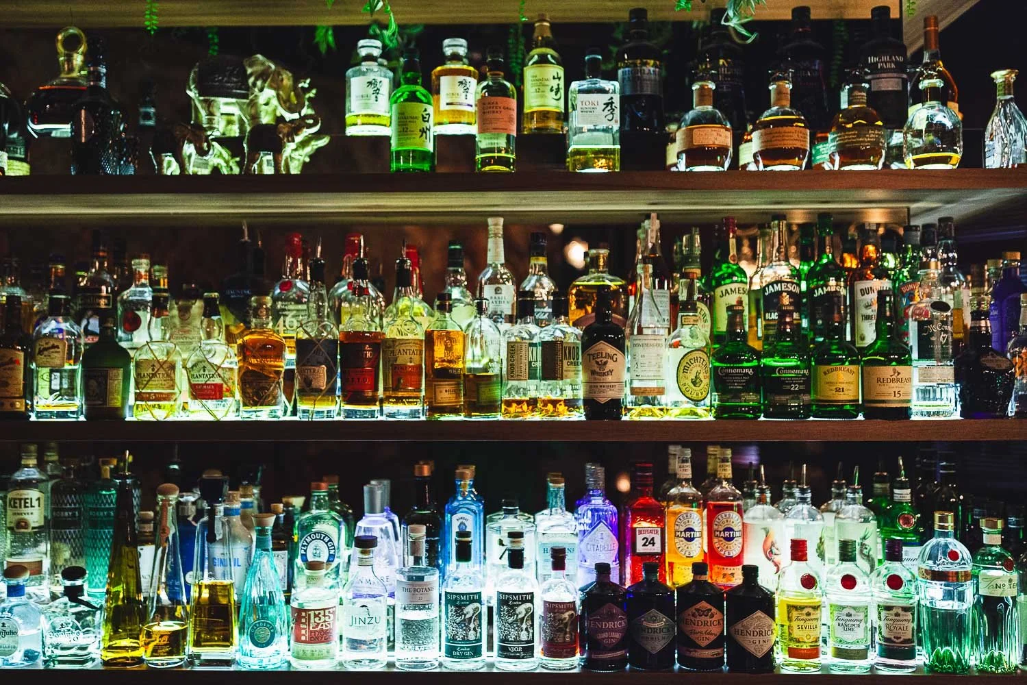 Backbar im Liquid Diary in Innsbruck mit hochwertigen Spirituosen aus aller Welt