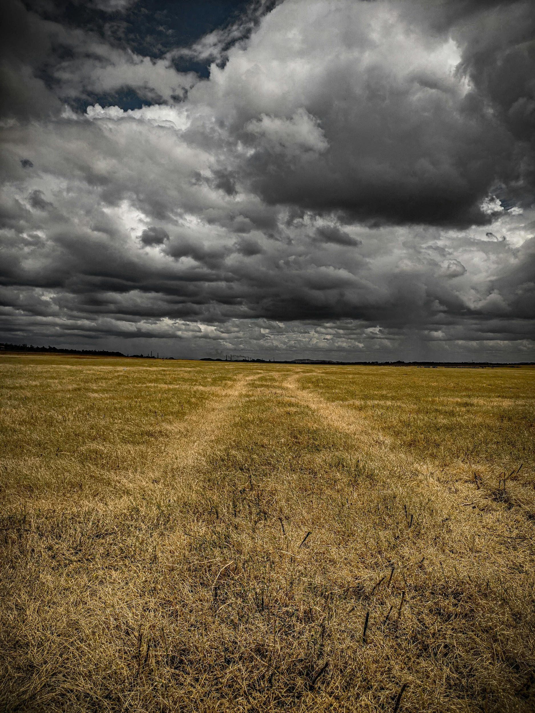 Open field with dry grass under a dark, cloudy sky.