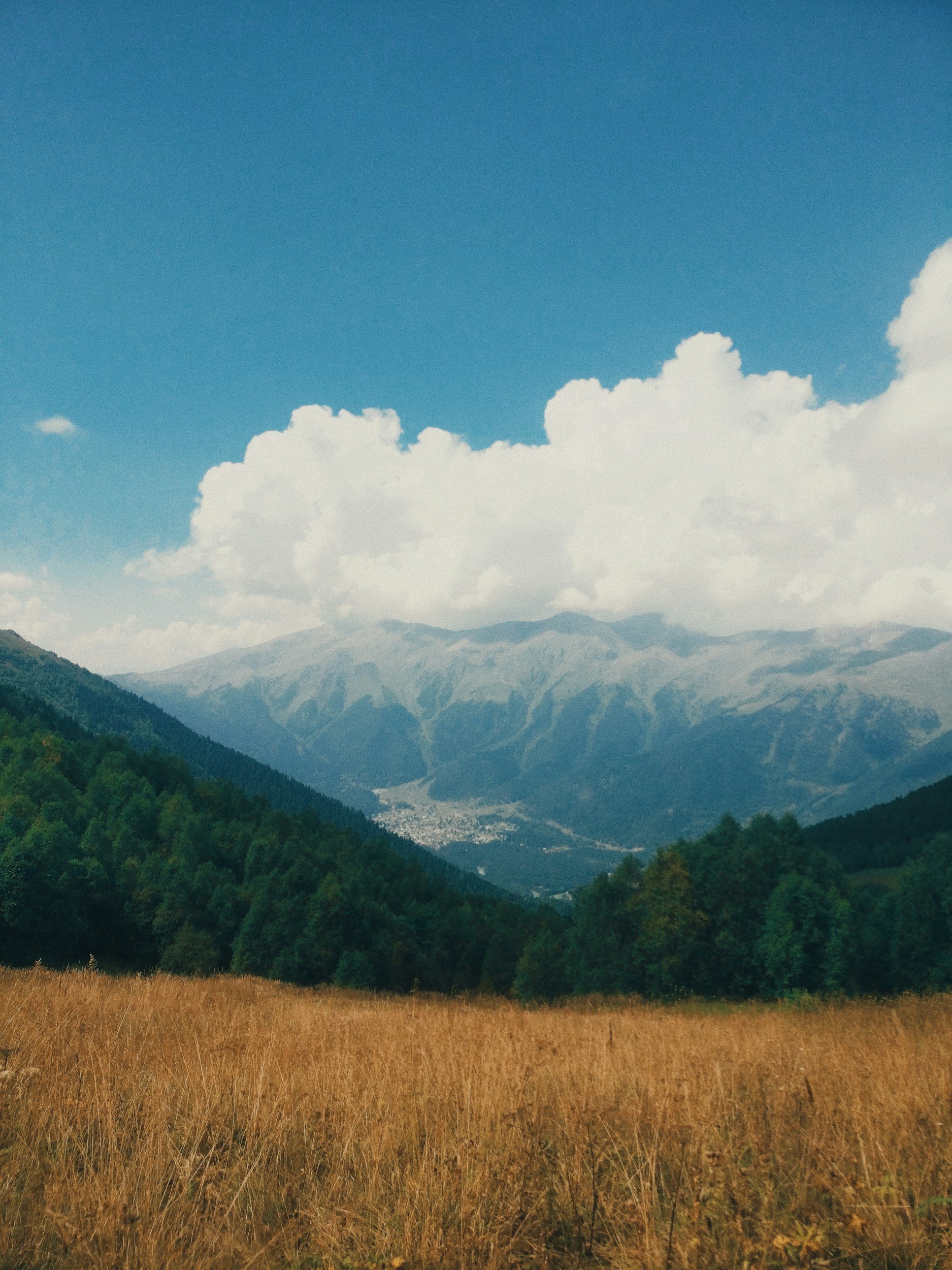 Scenic landscape showing a grassy field in the foreground, dense green forest on the hills, and mountains in the background under a partly cloudy sky.