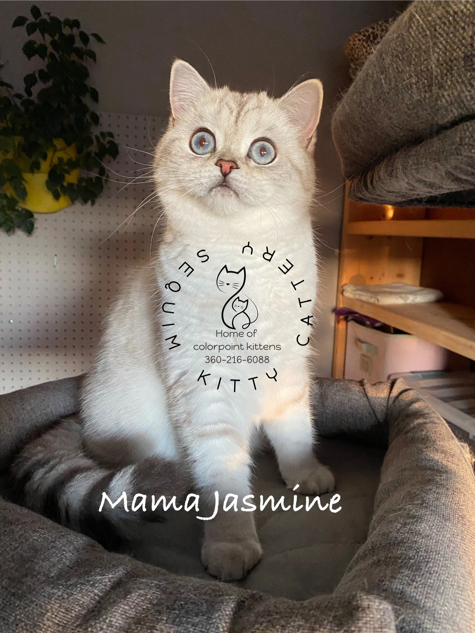 5D5319D7-EC52-4BBC-AB9A-9E03C2FD261D 2.jpg