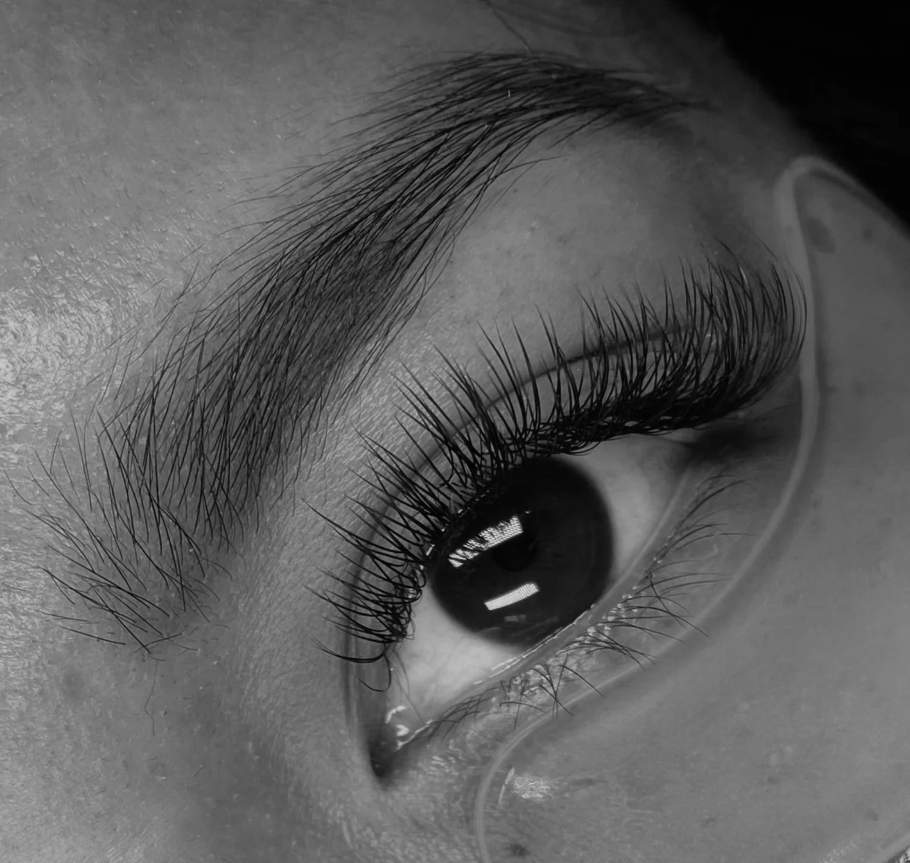 FullSizeRender 2.jpg