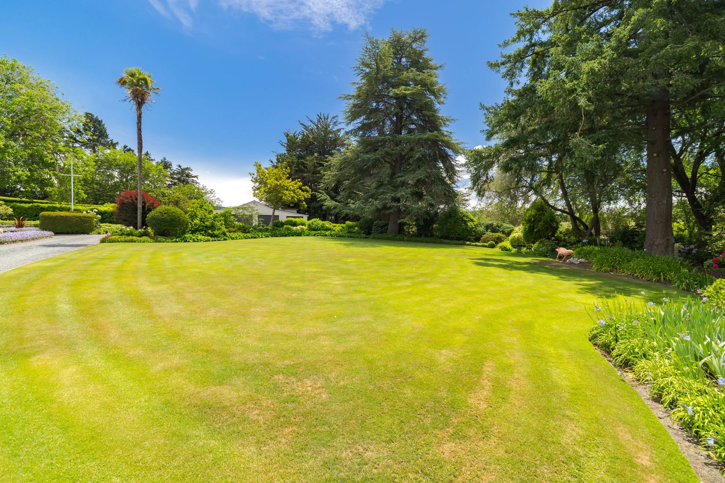 828 Ram Paddock Road-043.jpg