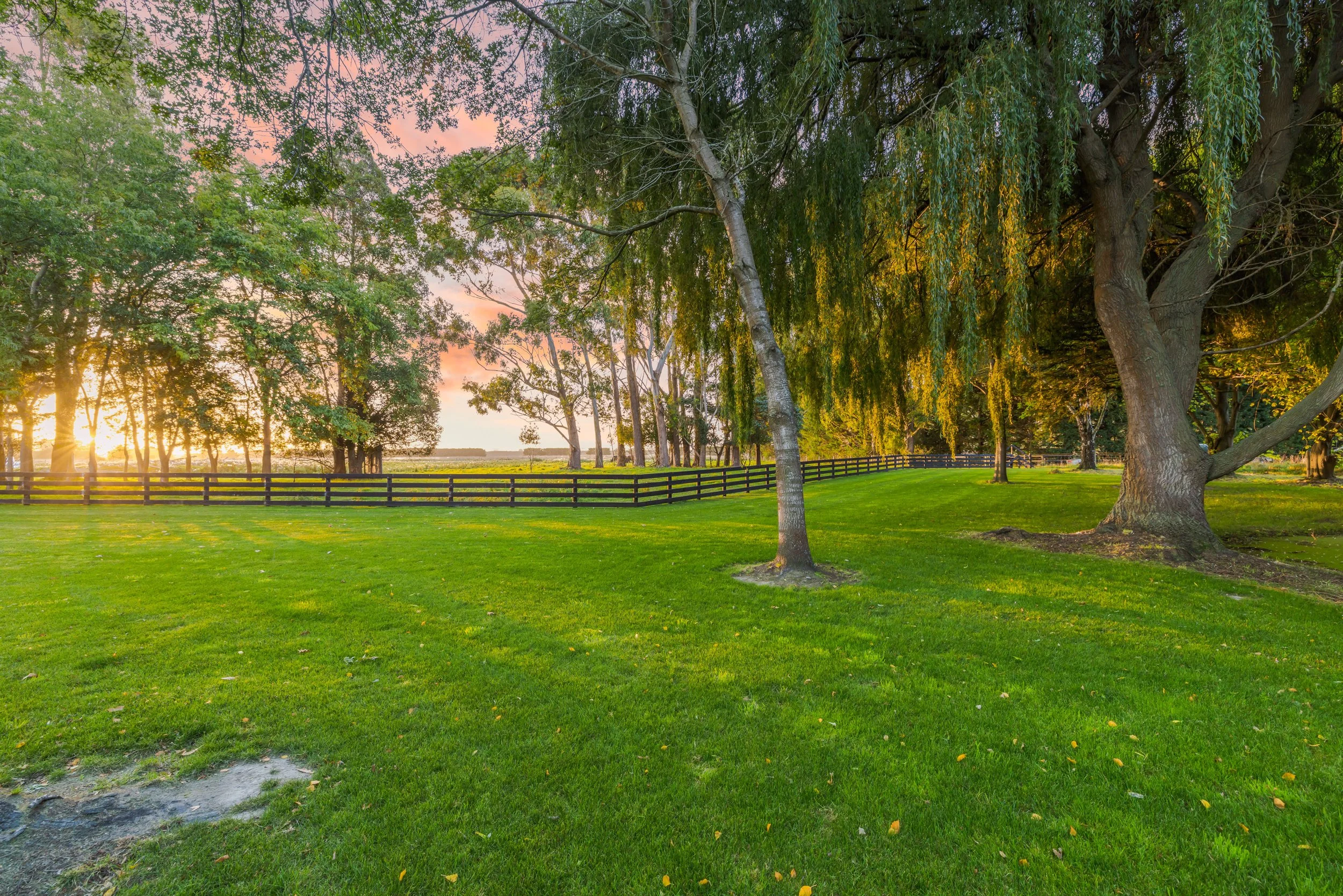 5 Moodys Road-047.jpg