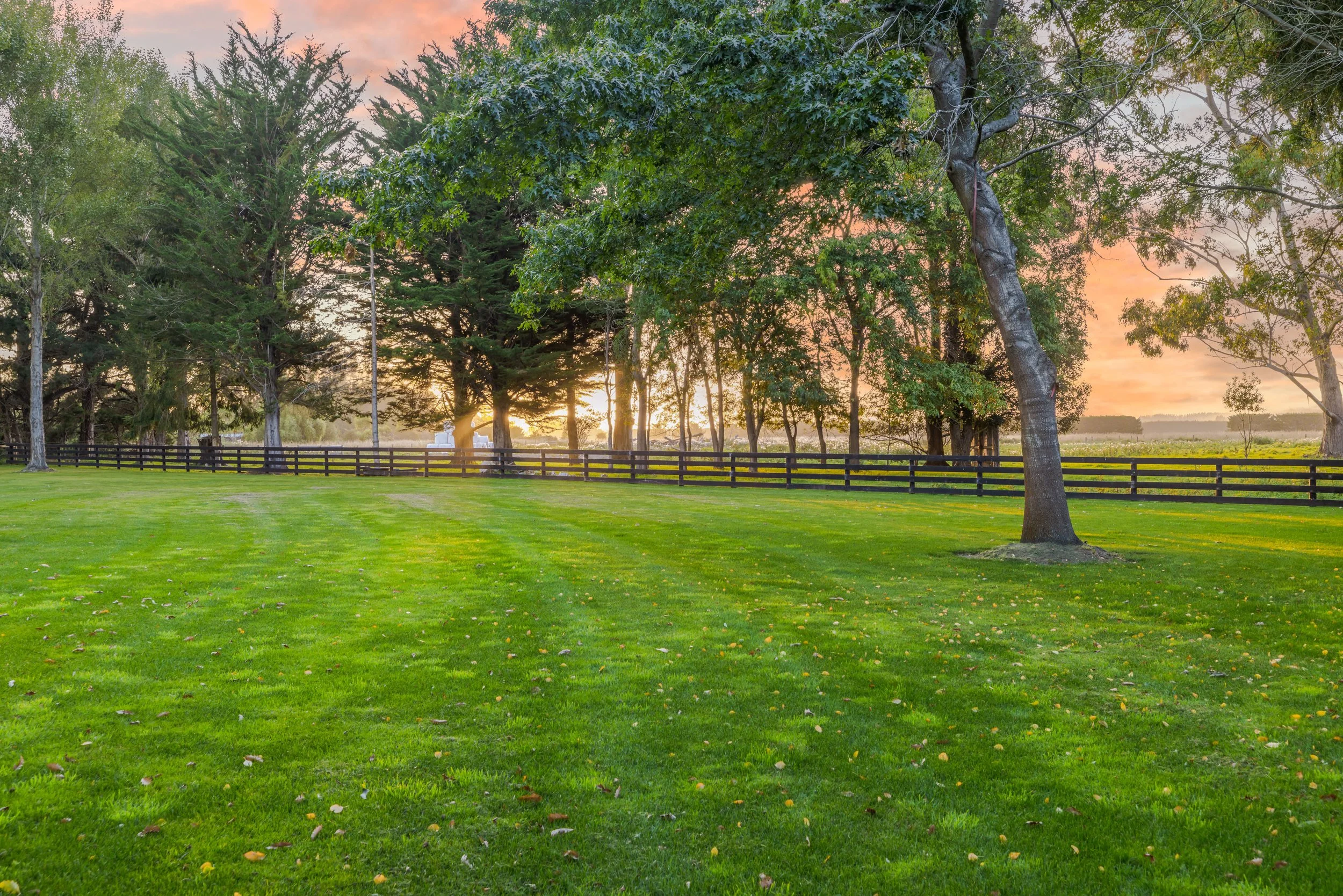 5 Moodys Road-046.jpg