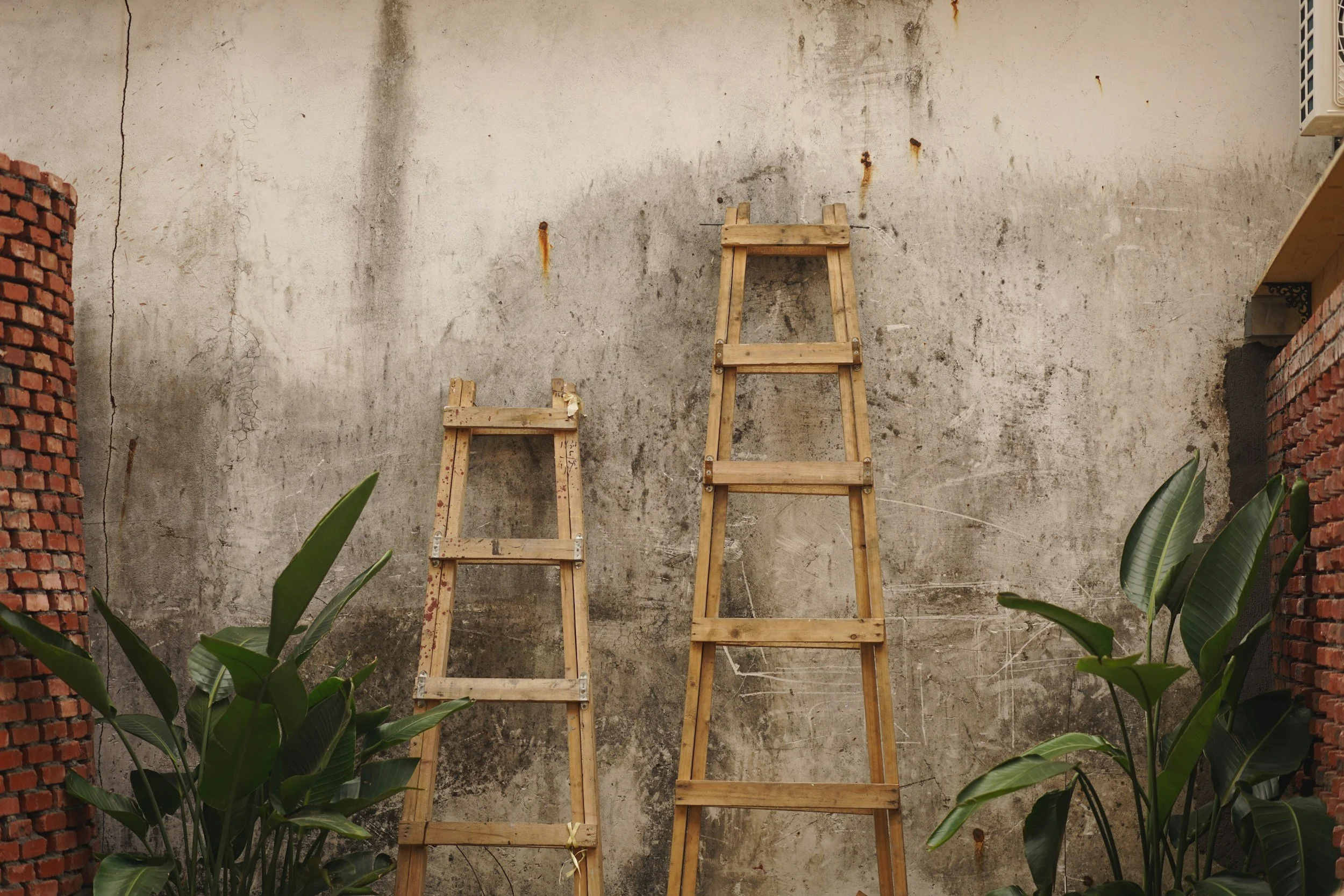 climbing ladders on a plain background