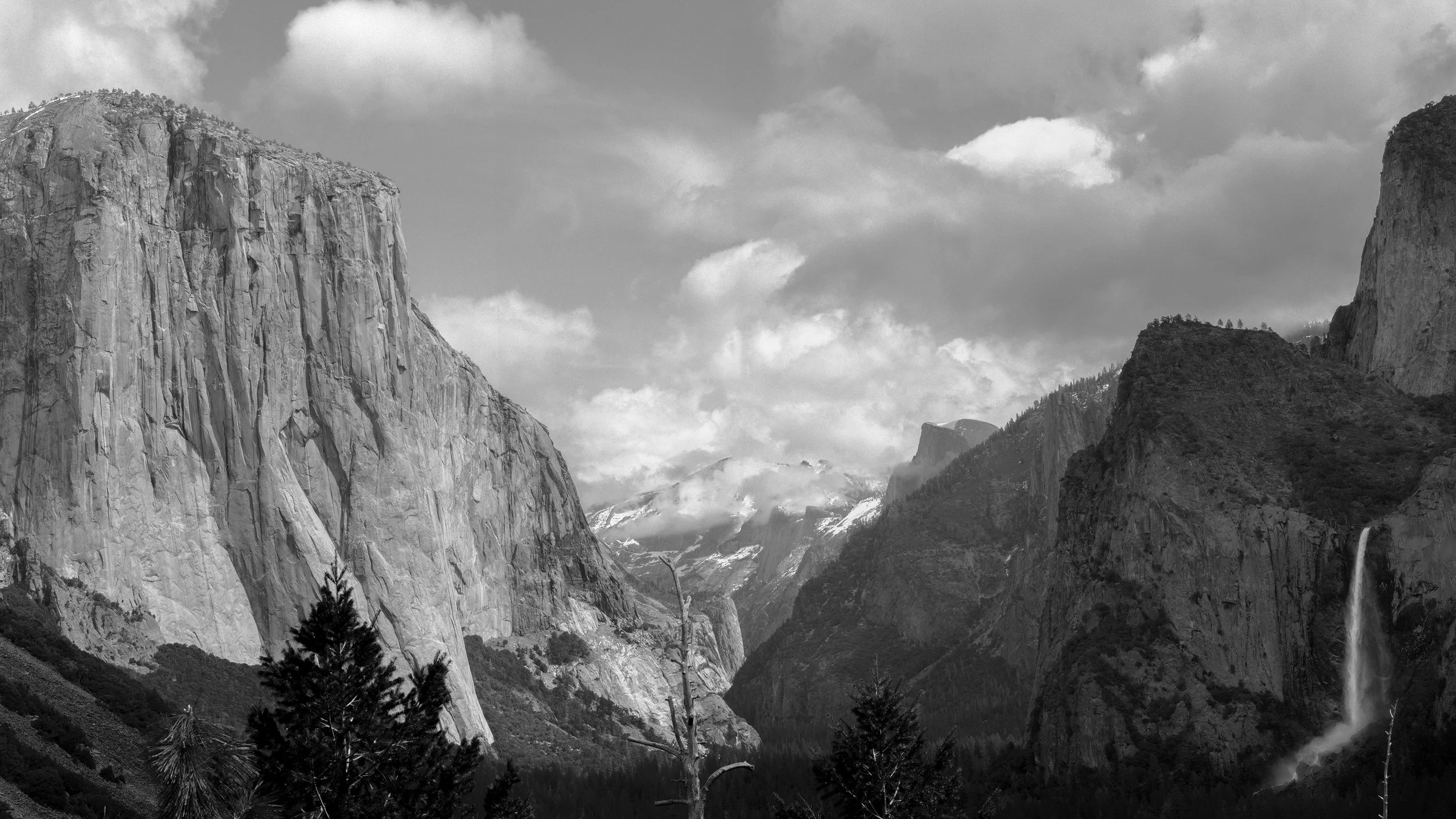 BW_1.560x33.75.jpg