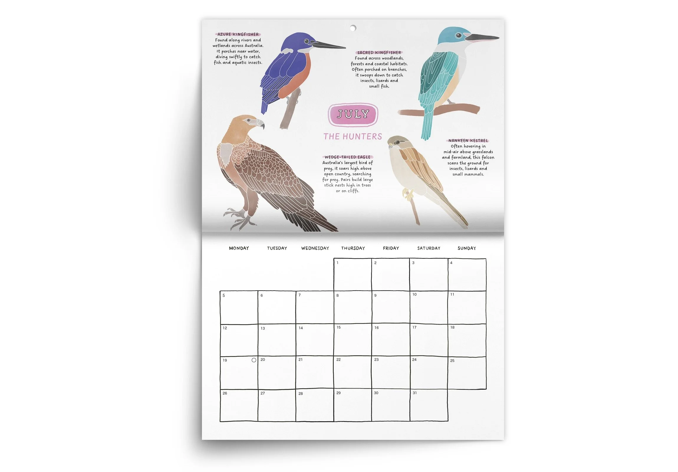 BIRDS_27_3.jpeg