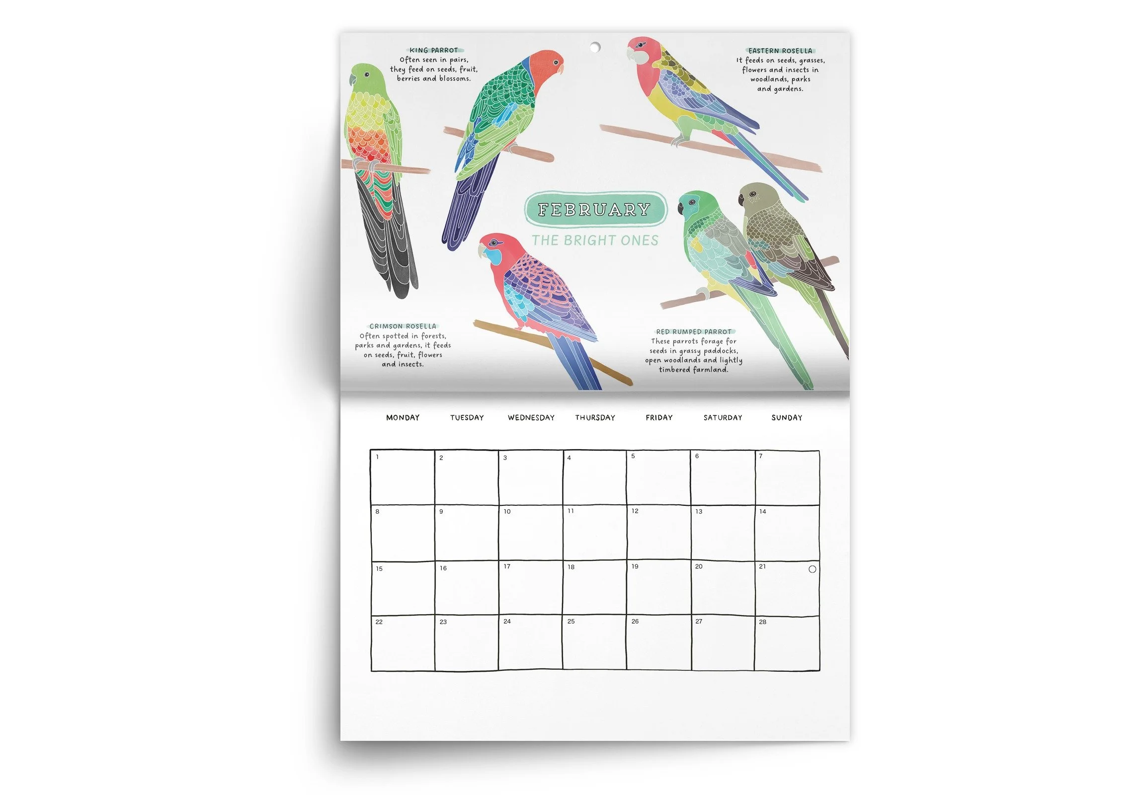 BIRDS_27_1.jpeg
