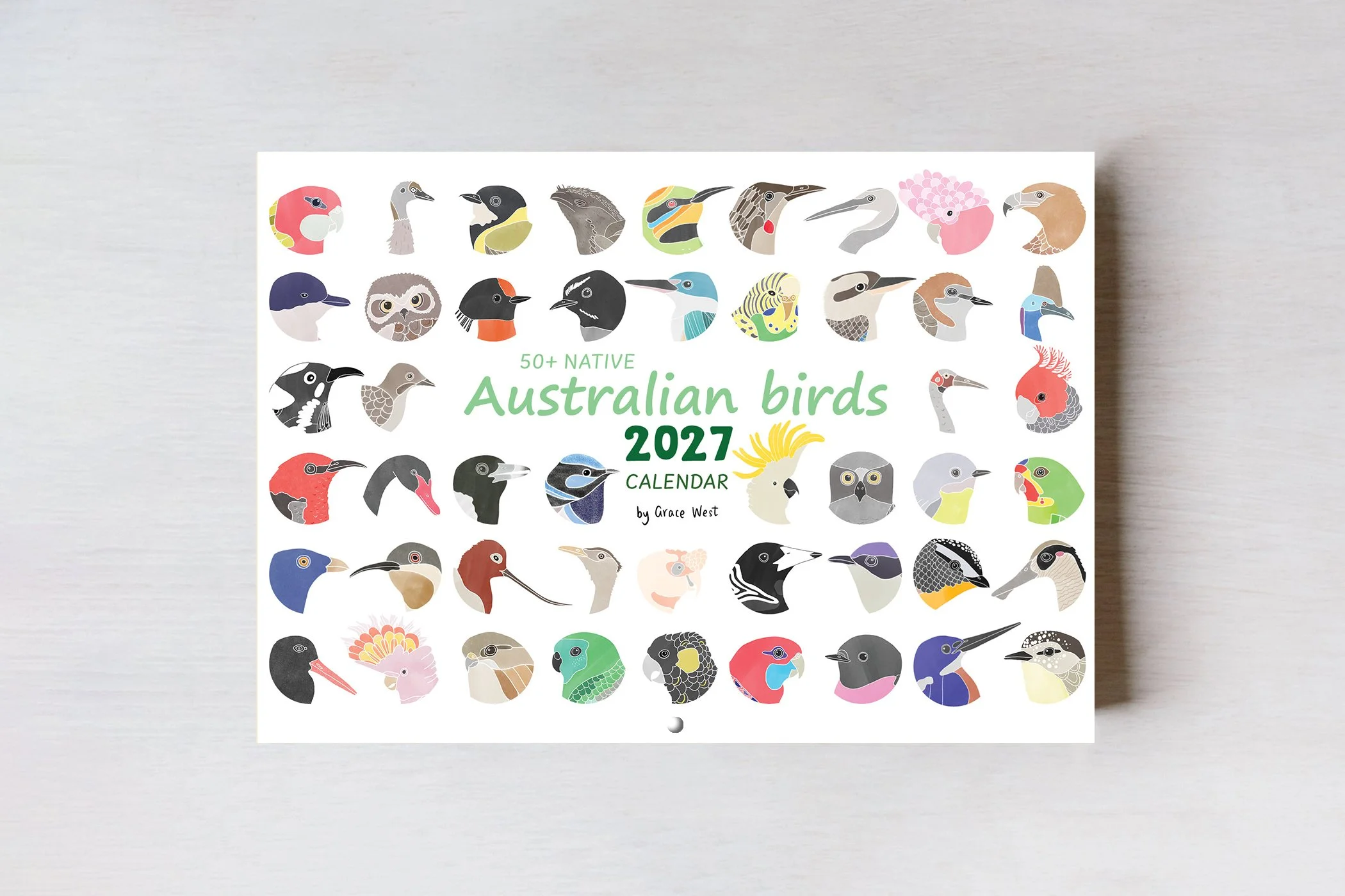 BIRDS_27_CVR1.jpg