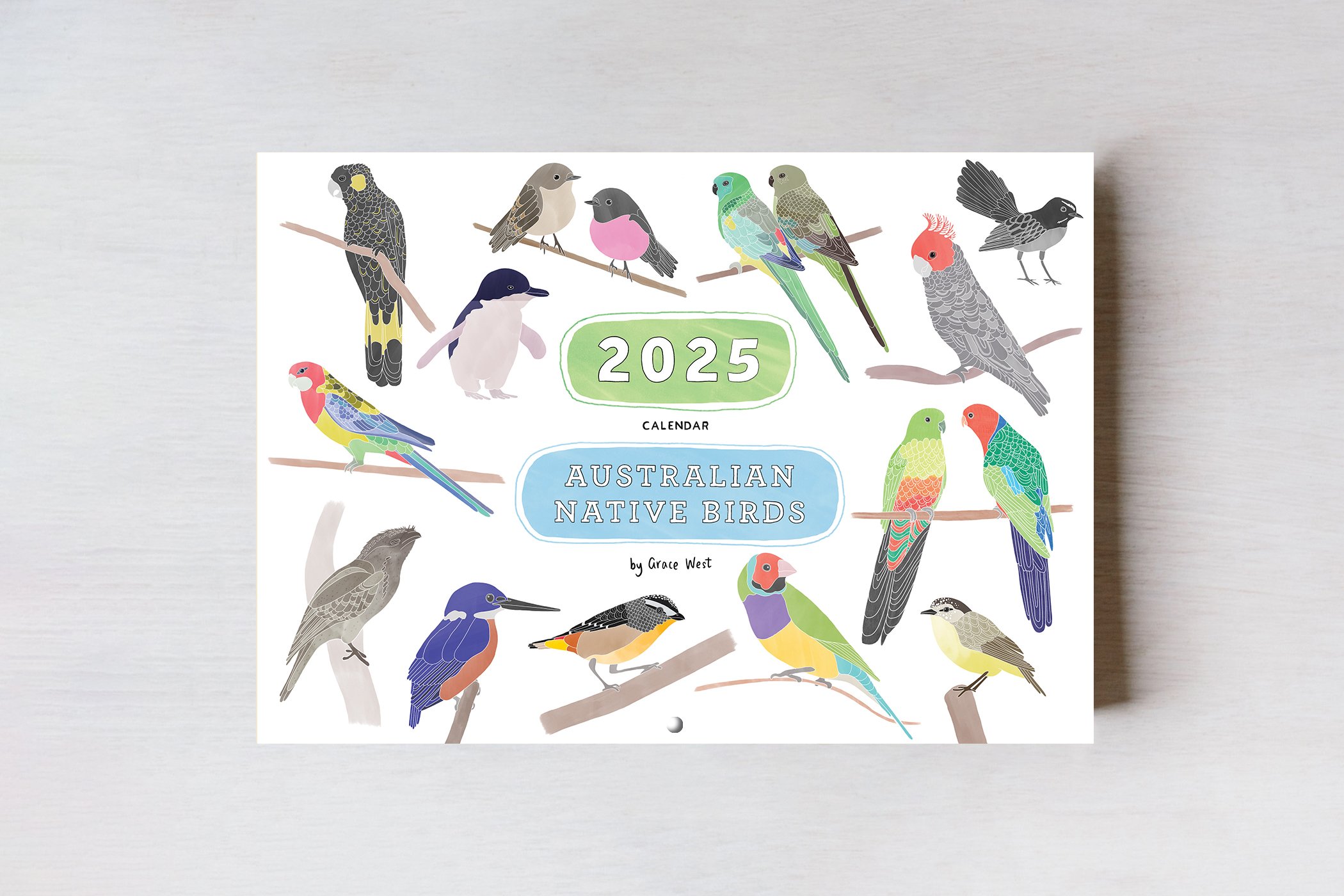 2025_Birds_CVR_1.jpg