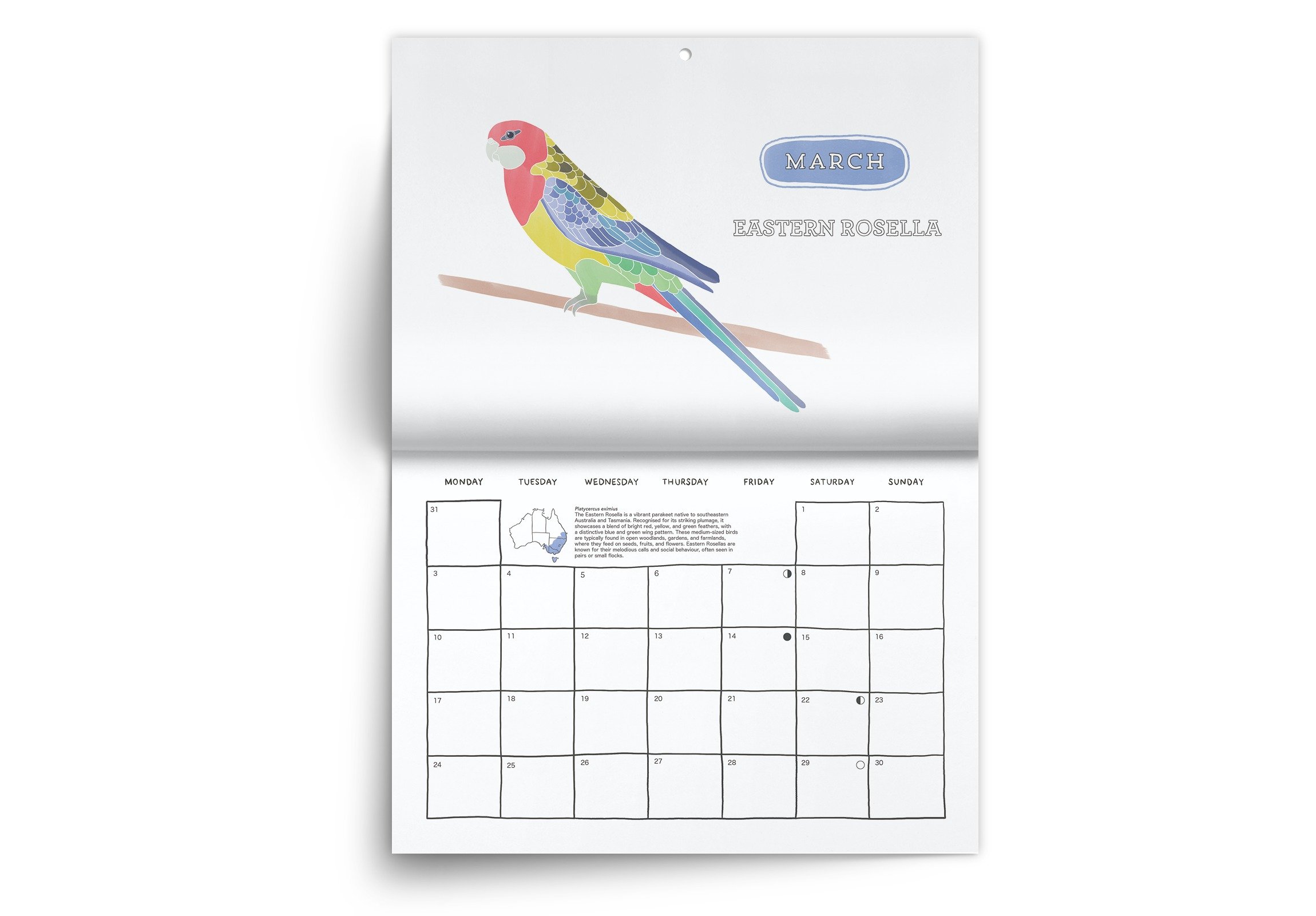 Bird_25_INT1.jpeg