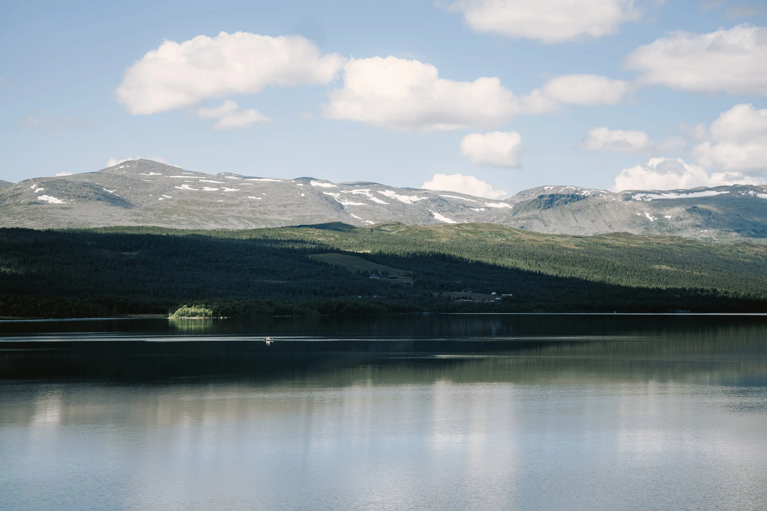 Nosen-08672.jpg