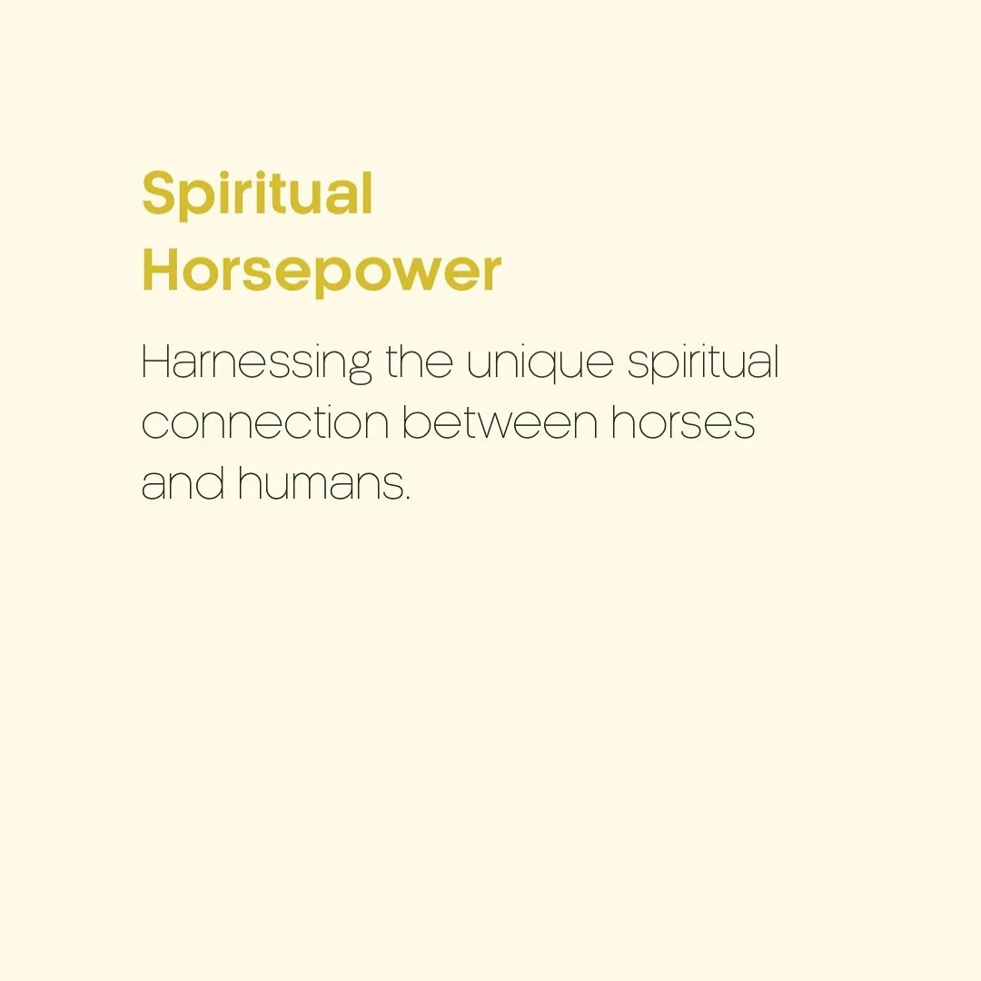 When you say &ldquo;yes&rdquo; to working with us - the opportunity to experience being alongside horses opens up. 

Horses have hearts that are 5 times the size of ours as humans.

This enables them to bring you into coherence, peace &amp; presence 