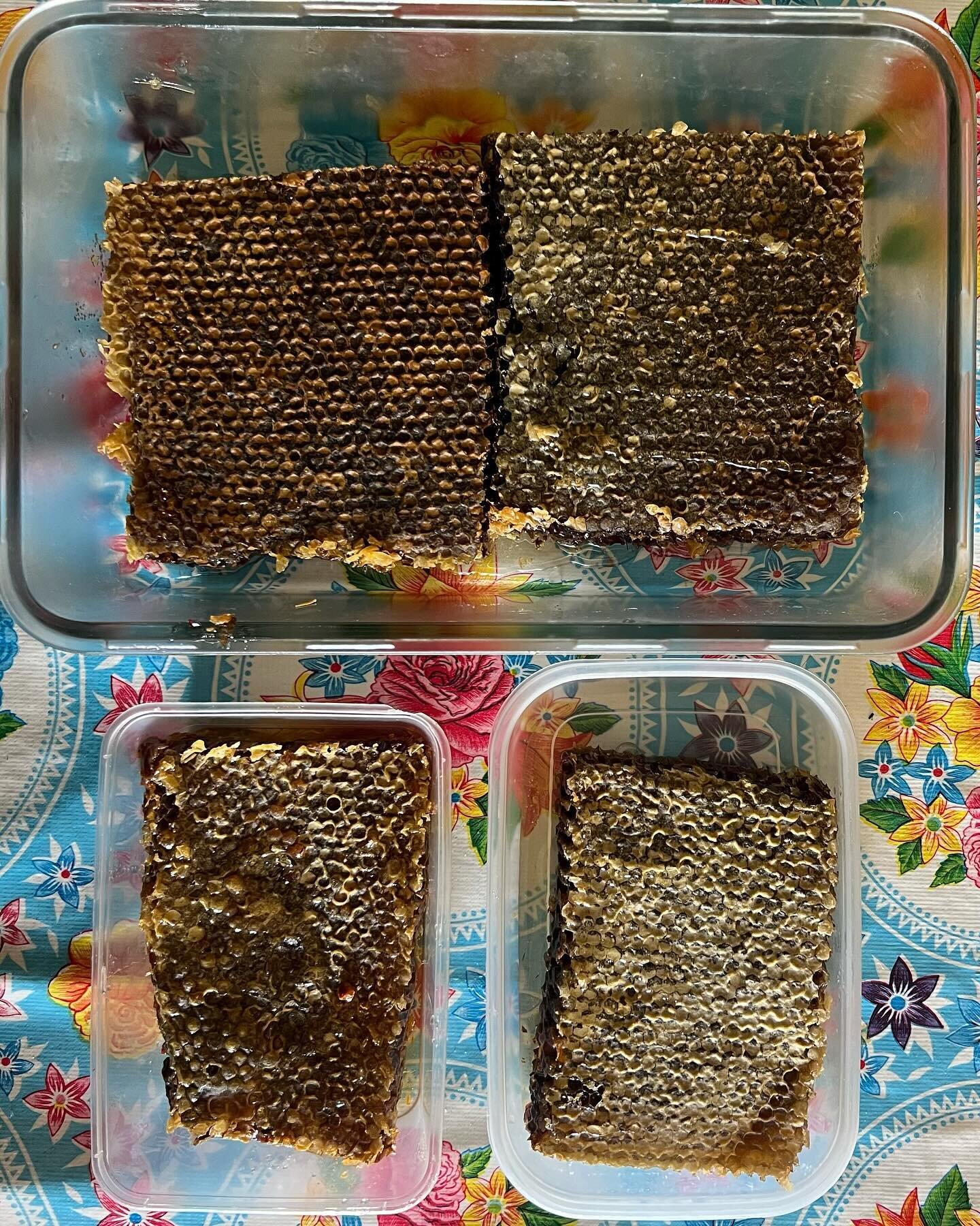 Post brood honeycomb (a rare &amp; extraordinary delicacy) harvested yesterday from our Gerilgambeth apiary, near #Junee. The hives were strong and full of honey. It will be both interesting and sad to see what the varroa mite does to these colonies,