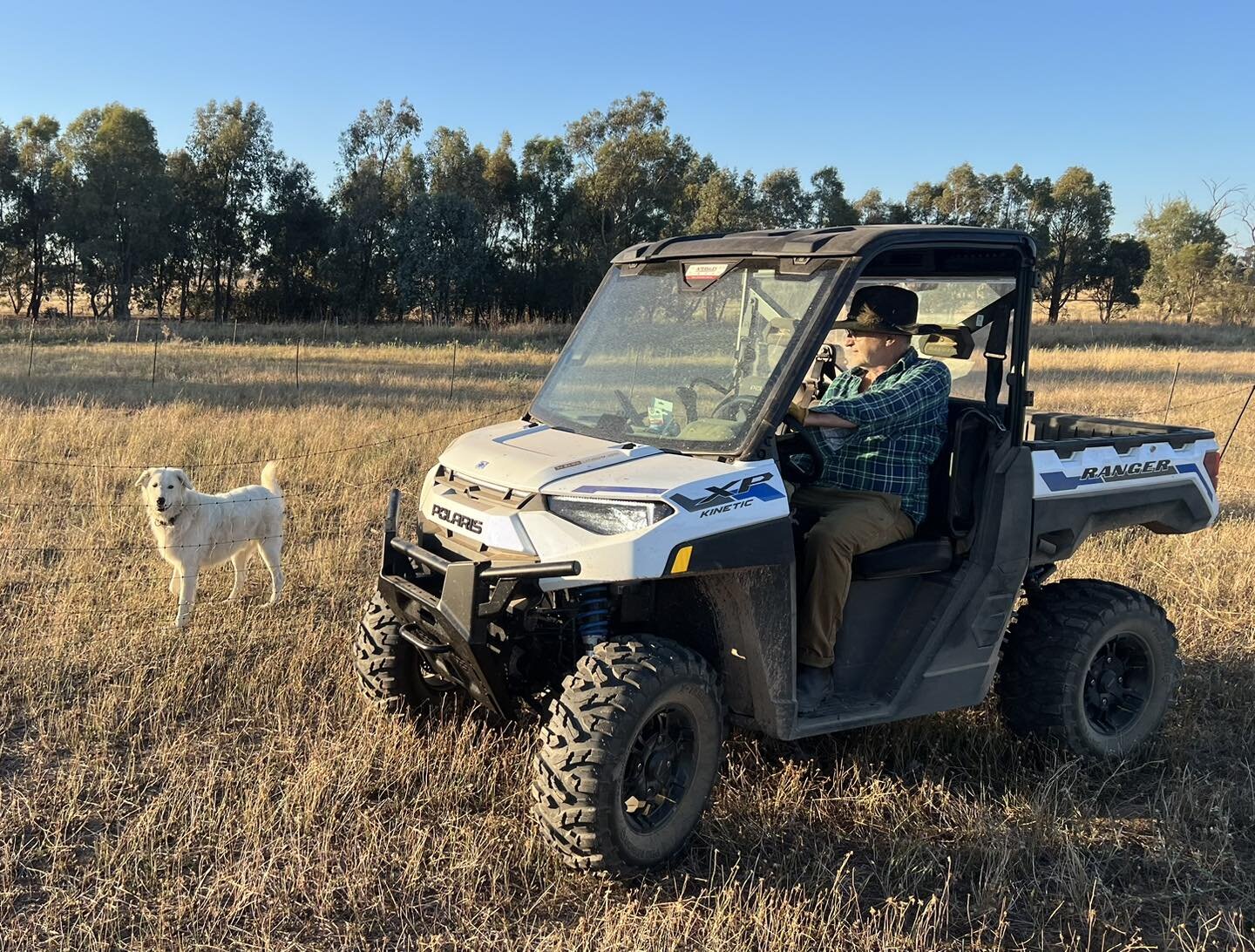 So good to finally have our fully electric @polarisinc Kinetic, its delivery long delayed by pandemic supply chain issues. This buggy transforms how we move through the farm. It&rsquo;s fast, agile and quiet, and can tow anything. We charge it when o