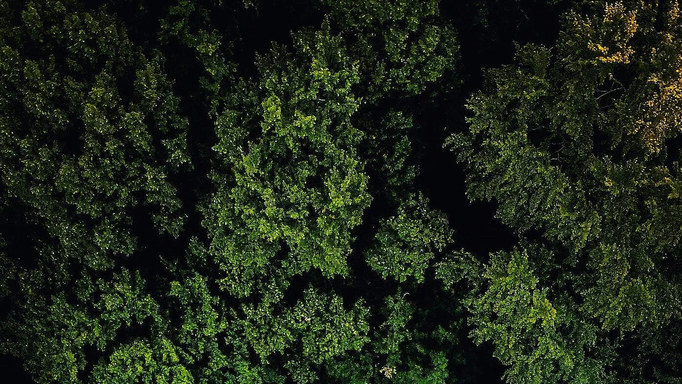 Yritysvastuun vuosi 2025