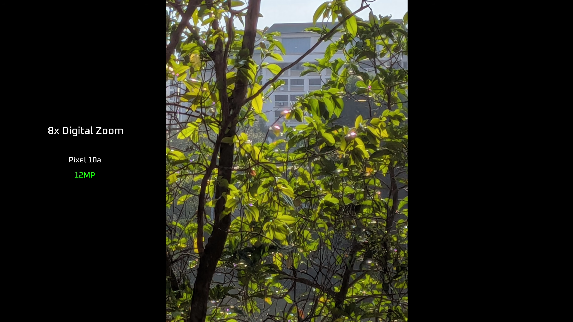 Screenshot 2026-04-08 210923.png