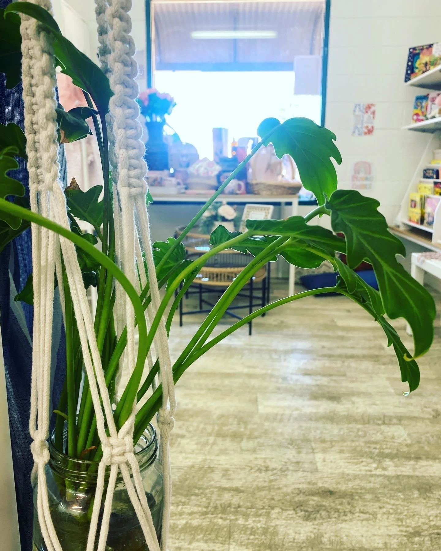 Macrame 2 x sessions