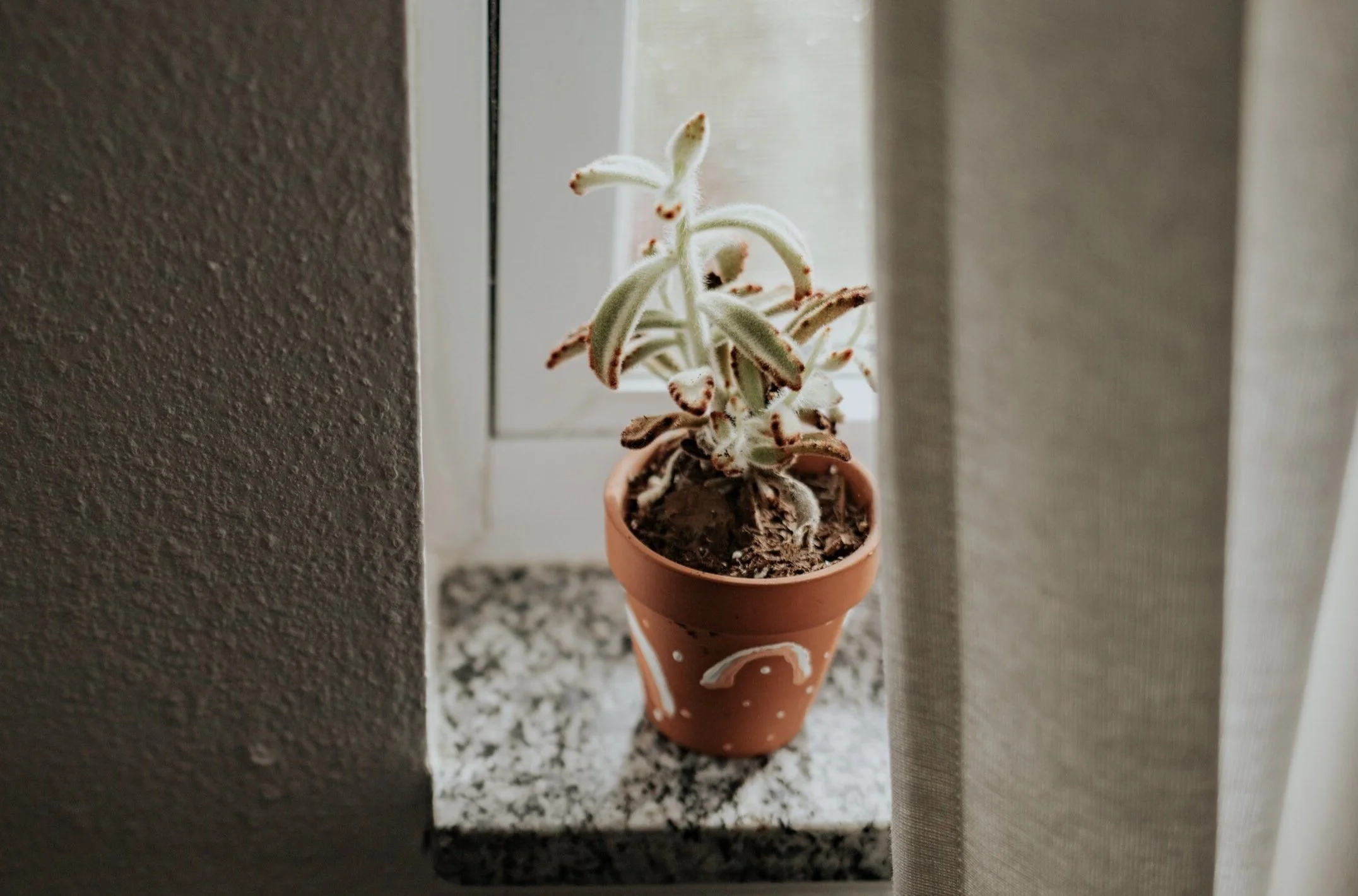 Terracotta Pots (pm session)