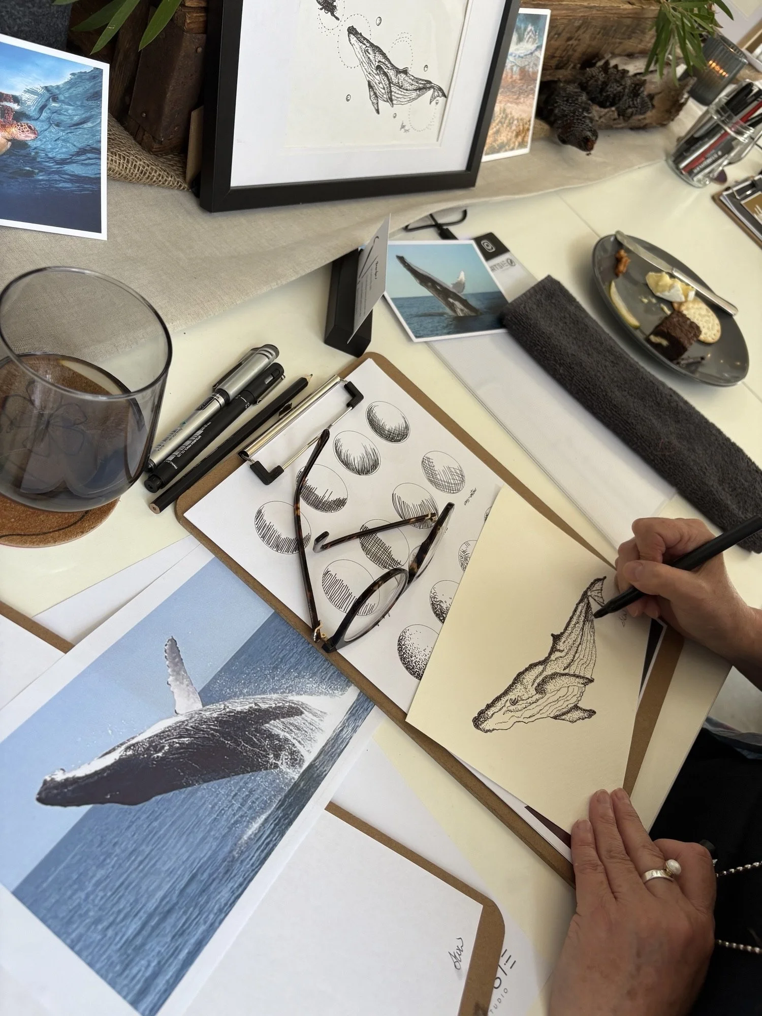 NINGALOO GIANTS & REEF LIFE WORKSHOP