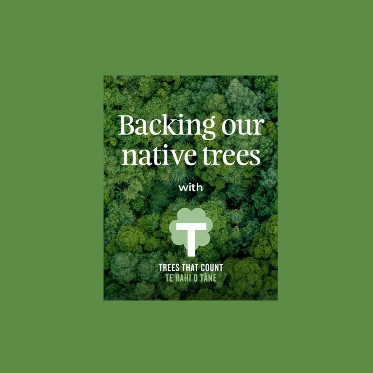 Supporting Nature by Planting Trees