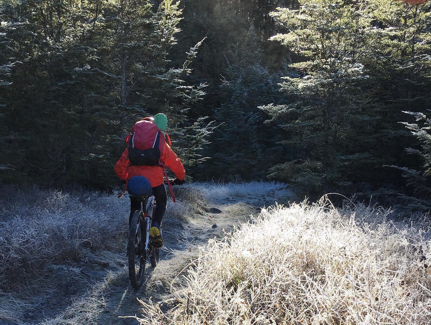 Josh+mountain+biking+frost+Poulter.jpg