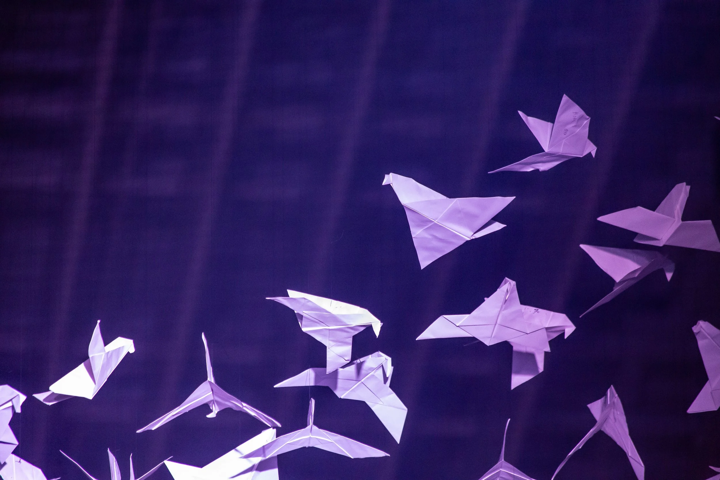 Milton Keynes Event Photography