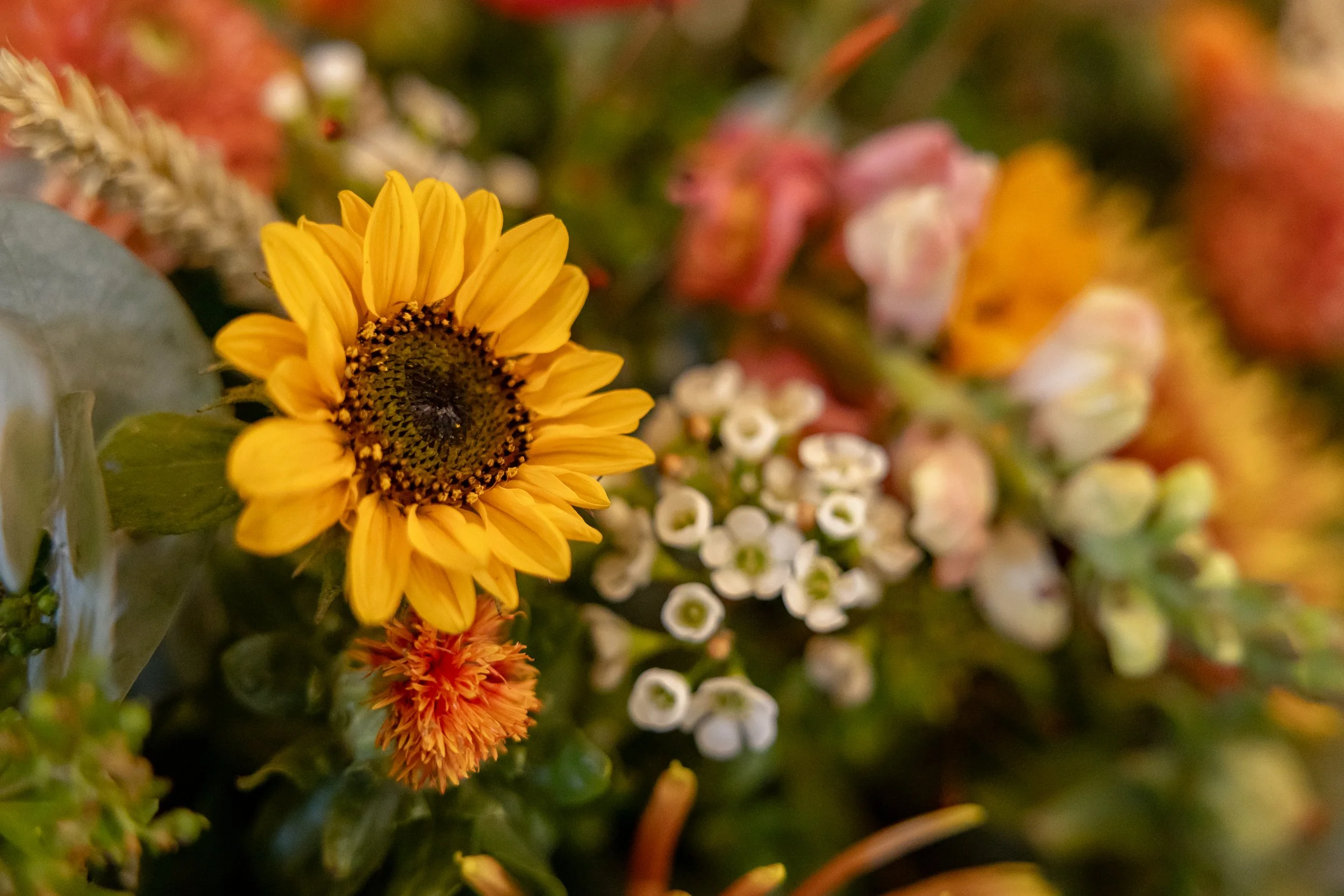  Relaxed and fun wedding at Huntsmill Farm