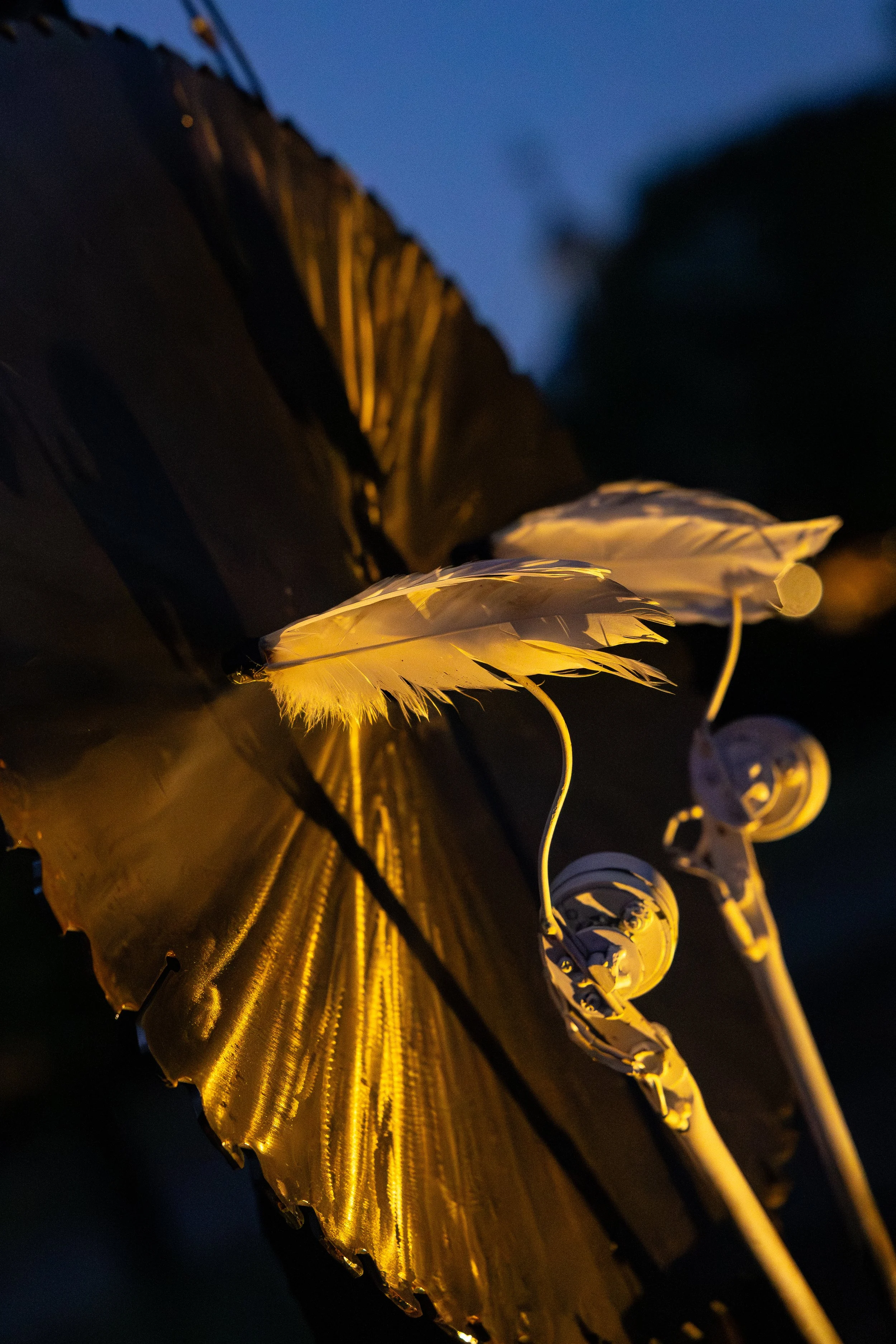 Milton Keynes Event Photography