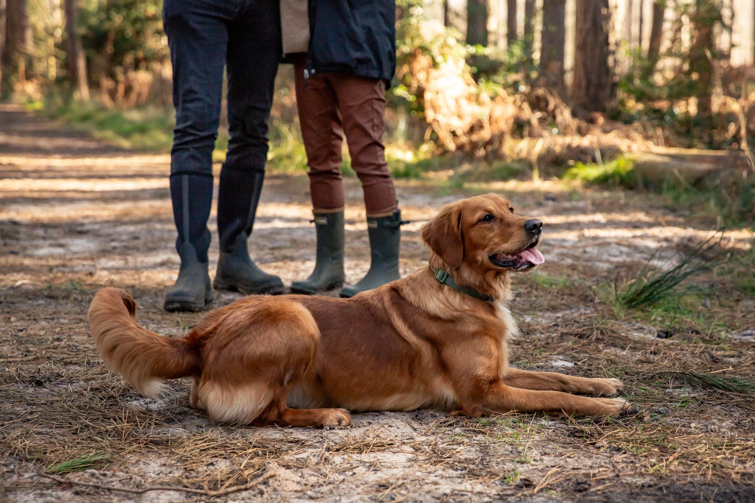 Milton Keynes Couples Photographer