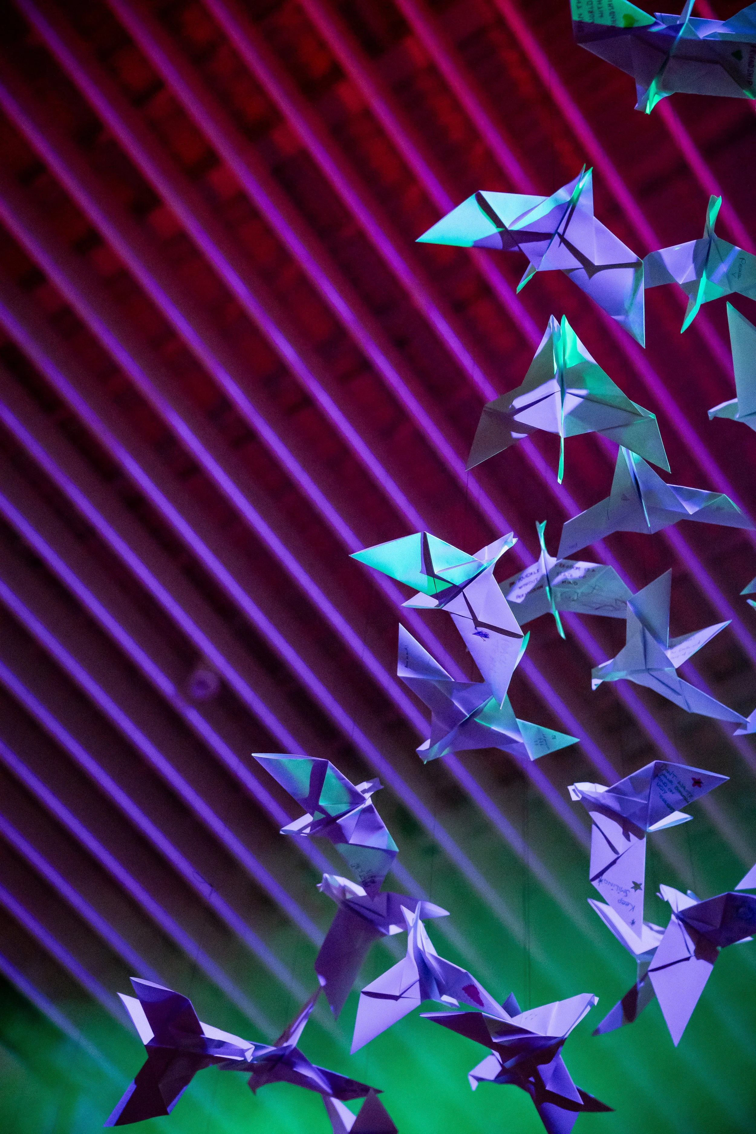 Milton Keynes Event Photography