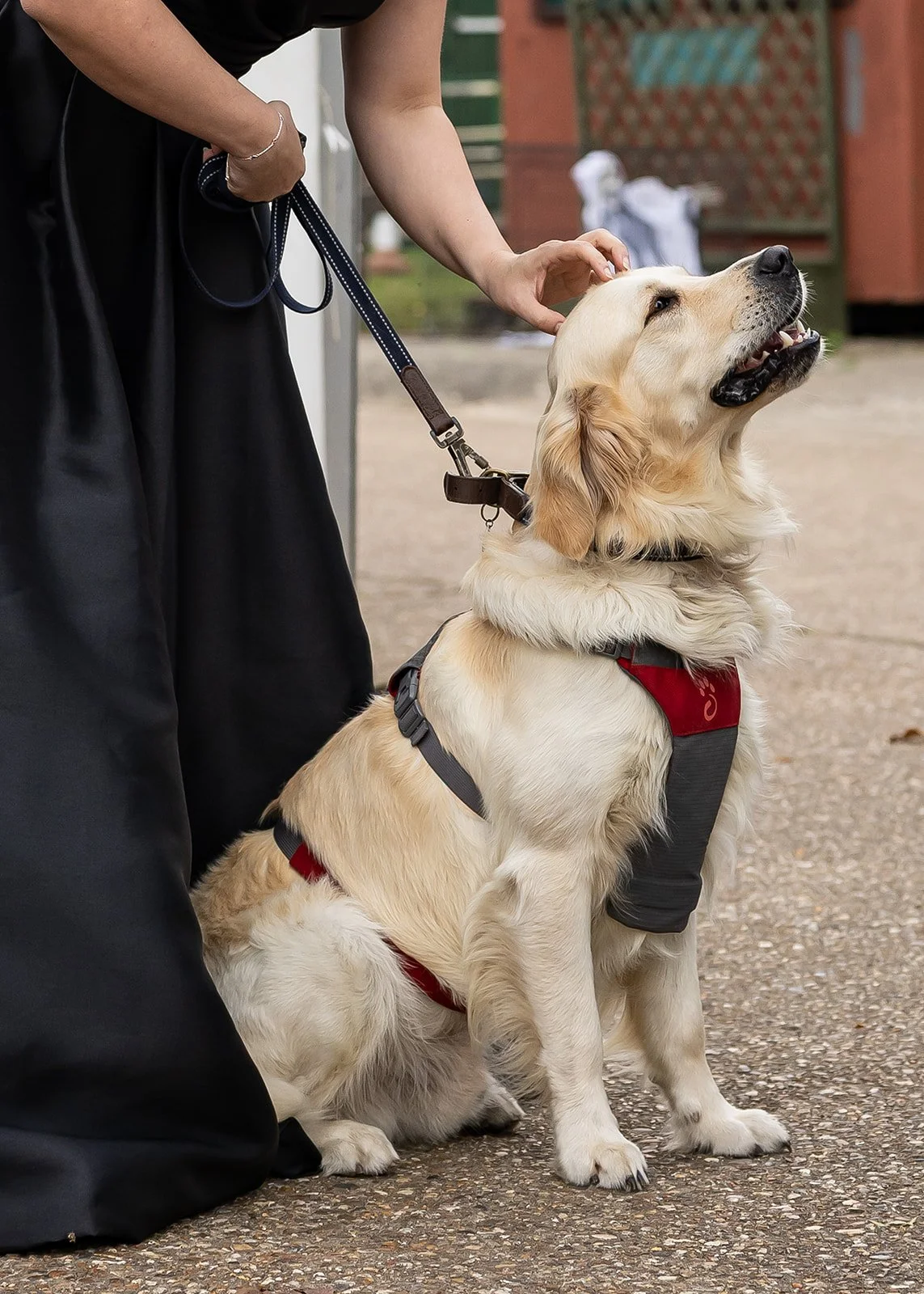 Vibrant and authentic wedding photography