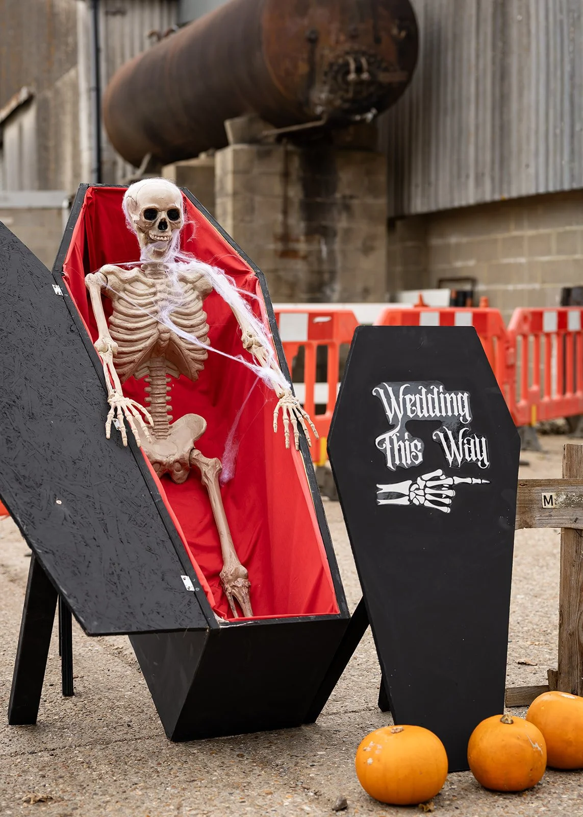 Vibrant and authentic wedding photography