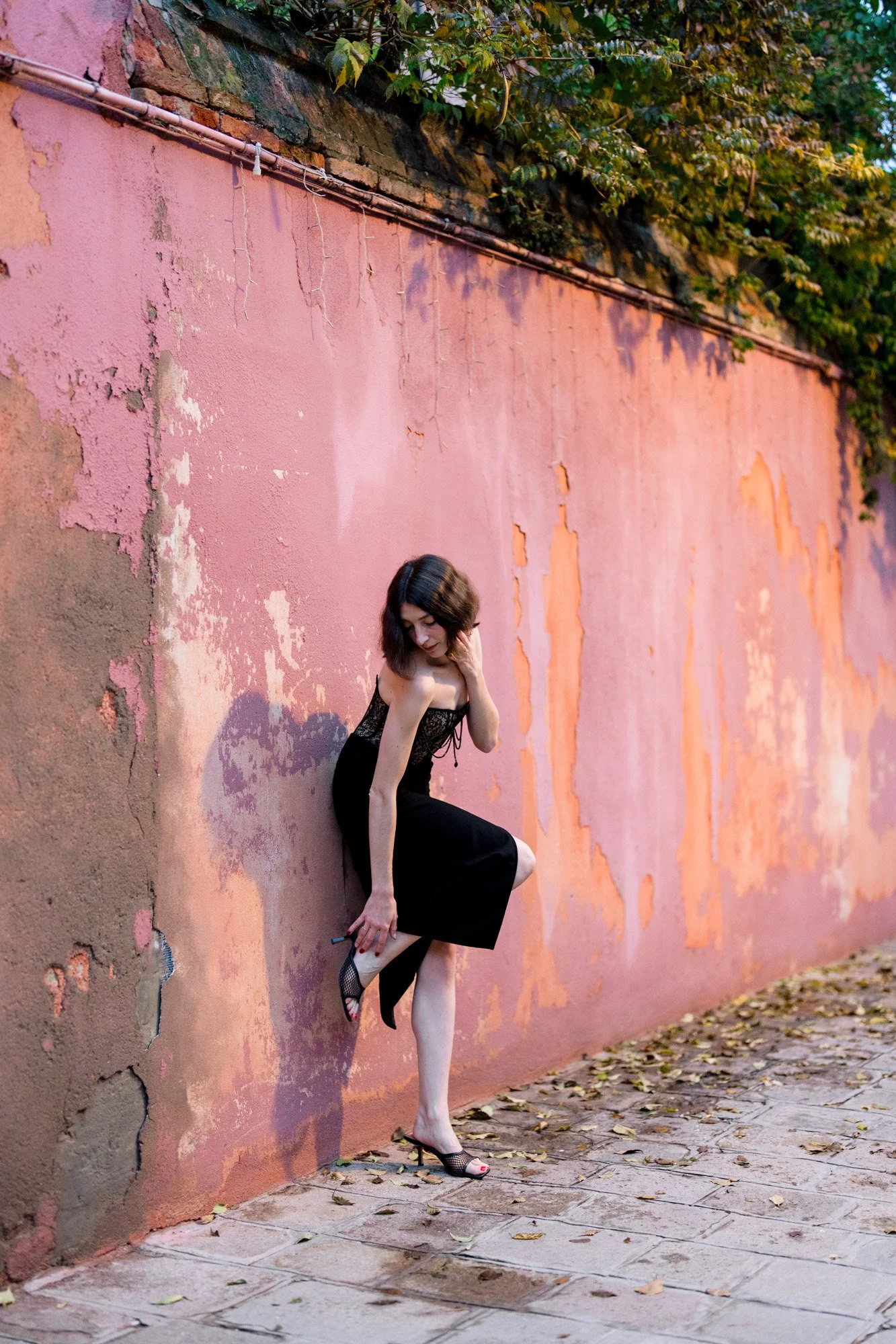 Velvet Shadows