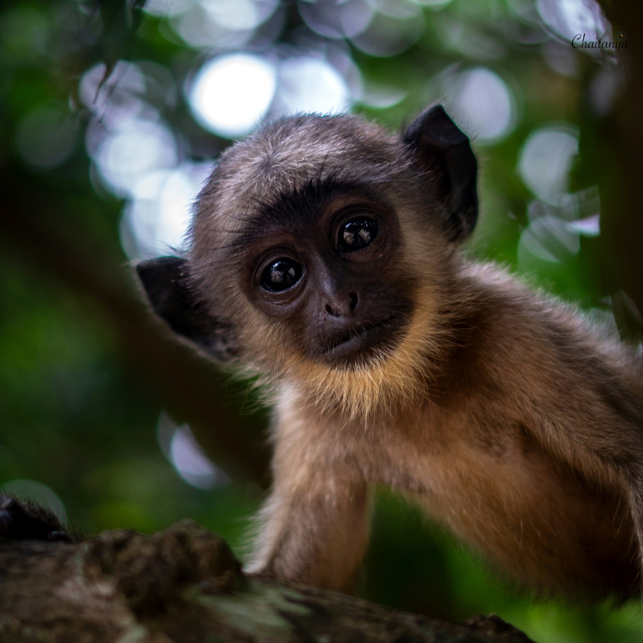 Hur blir jag bättre på att ta beslut? Psykologen svarar! 