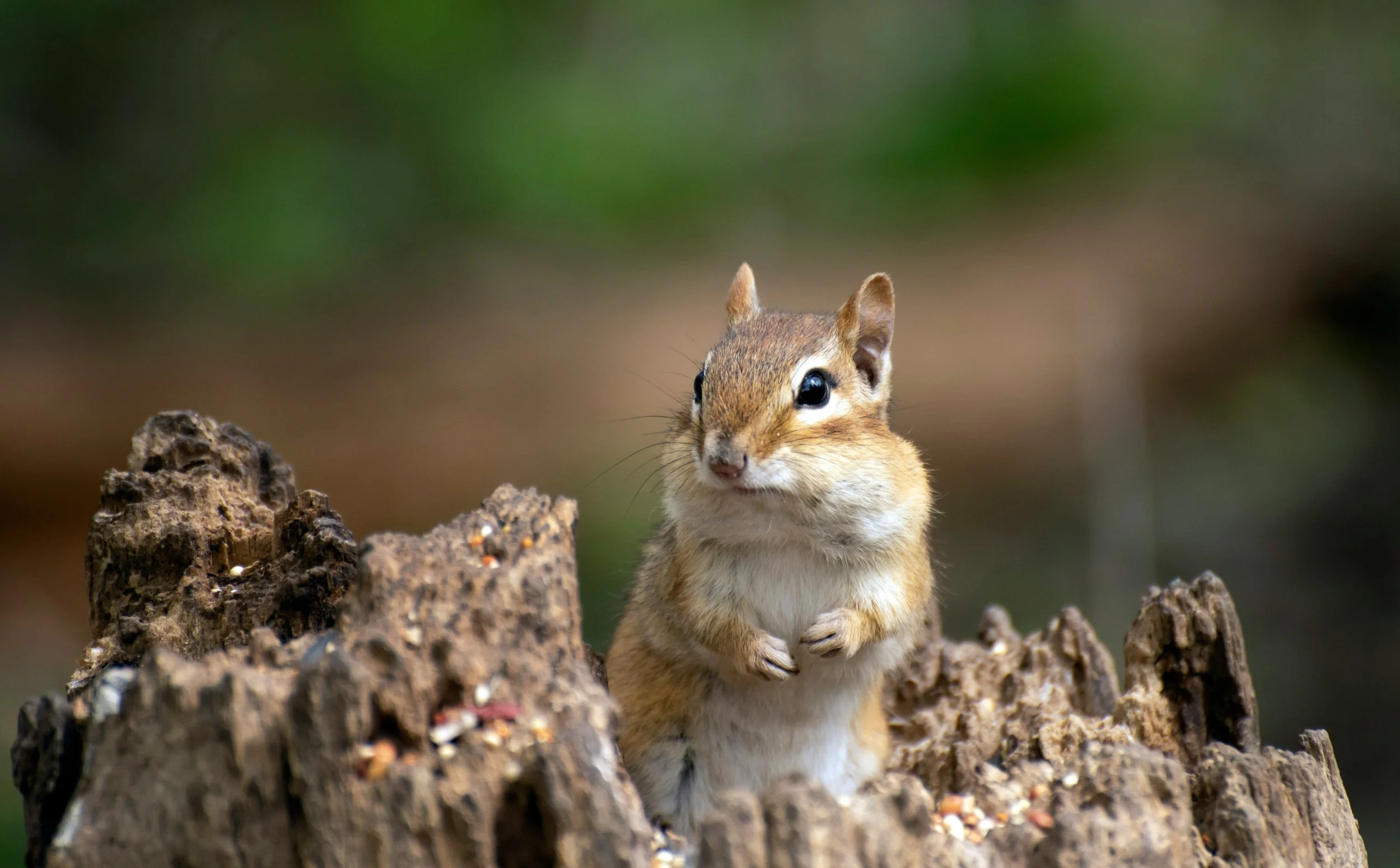 Psykologen svarar: Hur blir jag av med min prestationsångest? 