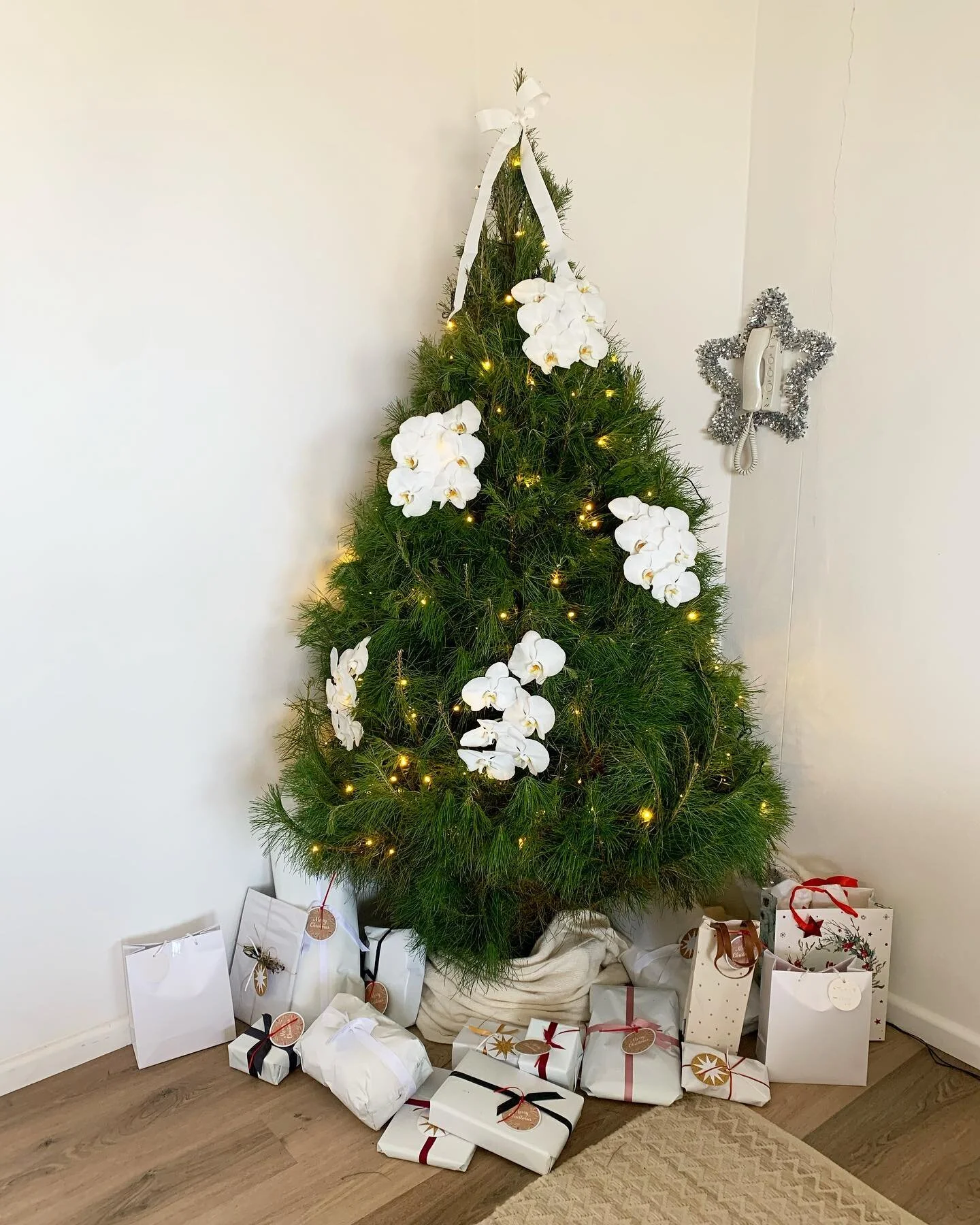 Thinking about Christmas in July celebrations 🎄