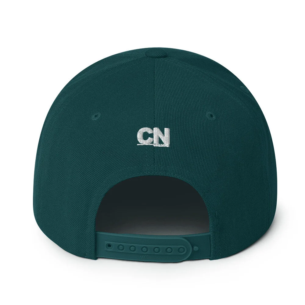 classic-snapback-spruce-back-6065b4becd22d.jpg