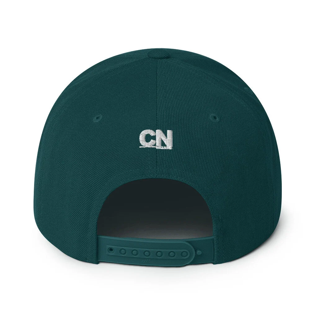 classic-snapback-spruce-back-6065b74f8bee8.jpg