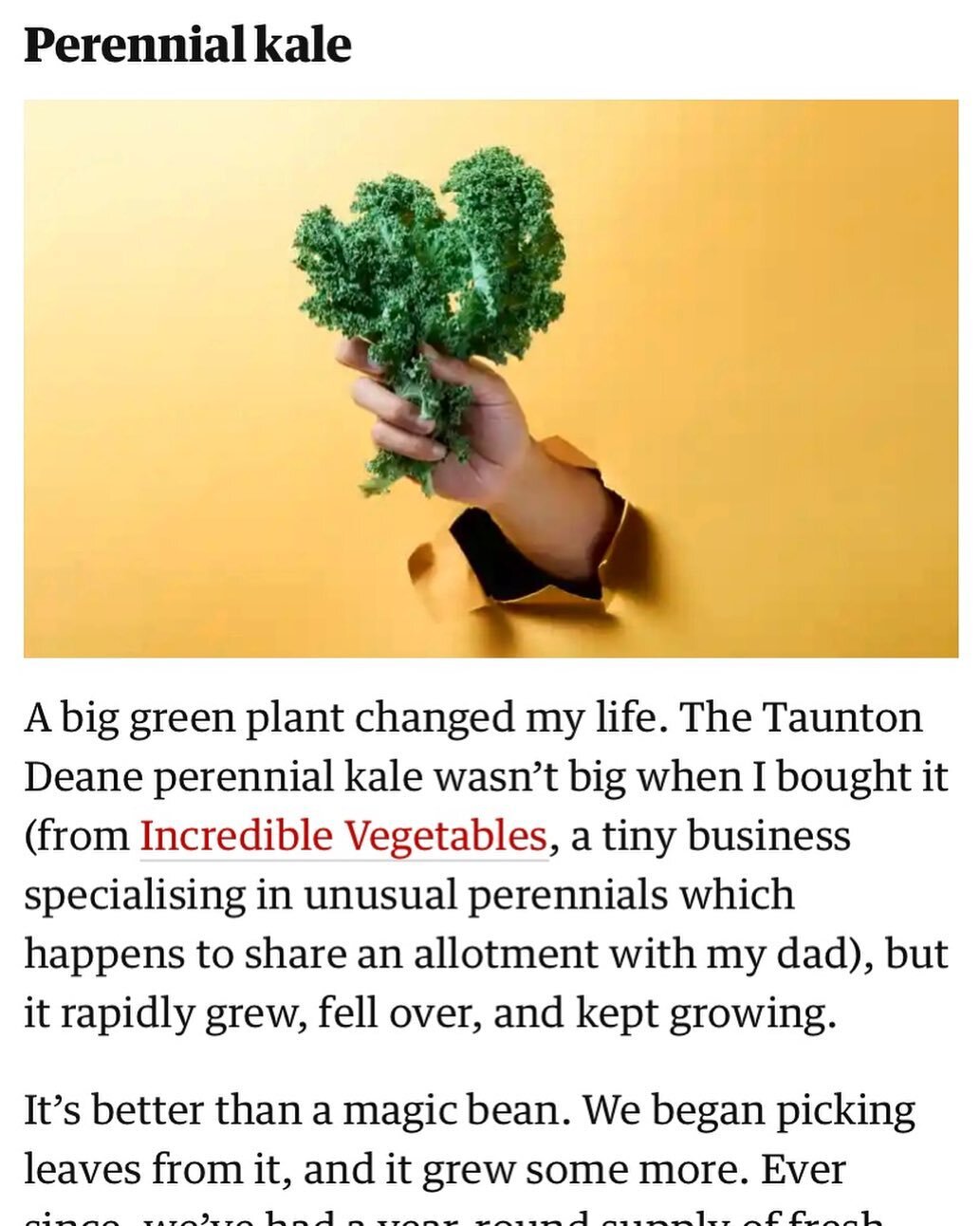 Great to see one of our growers mentioned in @guardian - Although the demand did crash her website! Mandy @incredible_vegetables is now hatching a plan to get many more propagated to keep up with demand, so once the interweb has stopped having a melt