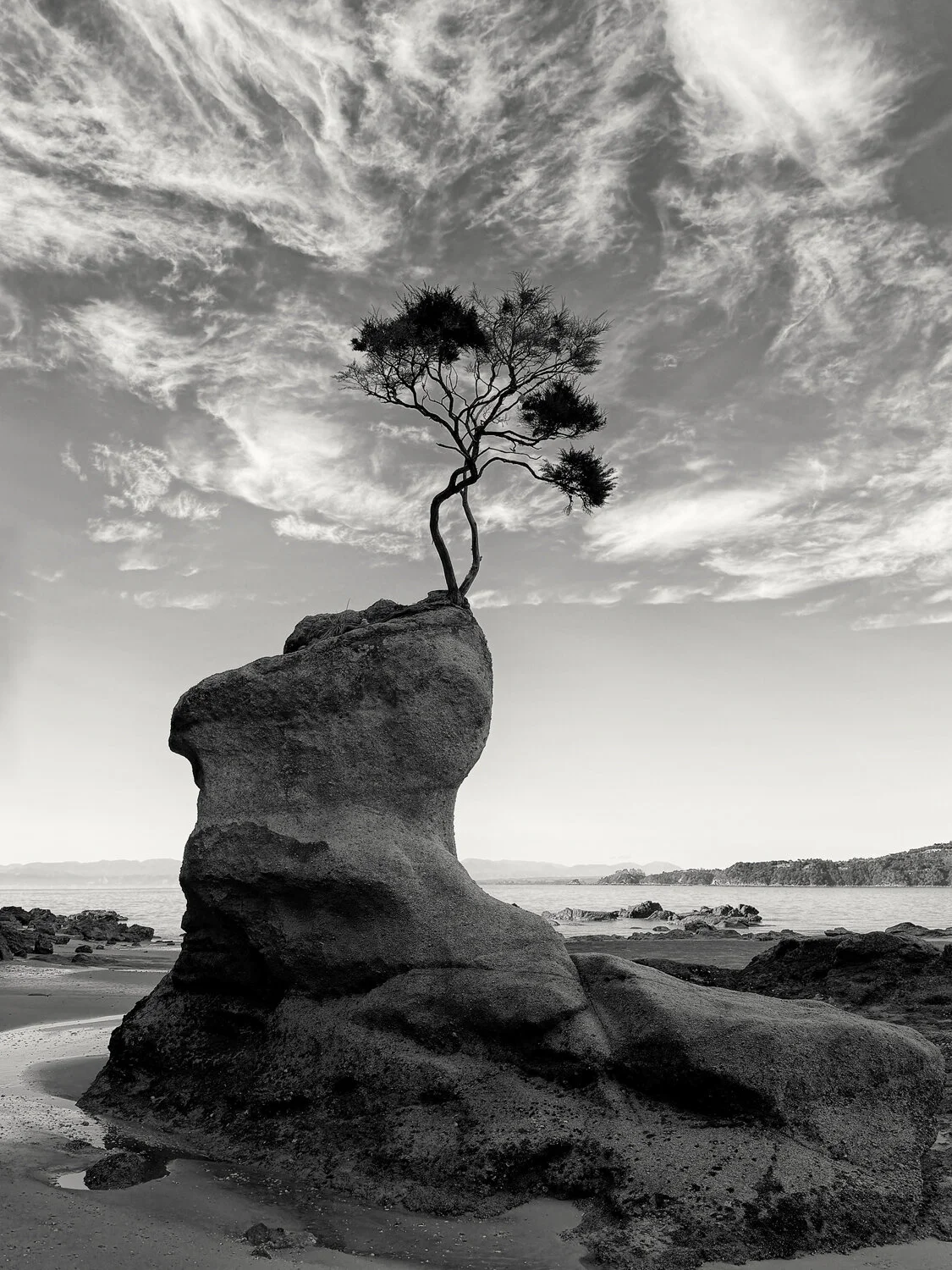 Center For Photographic Art 2026 (8 x 10) Fundraiser