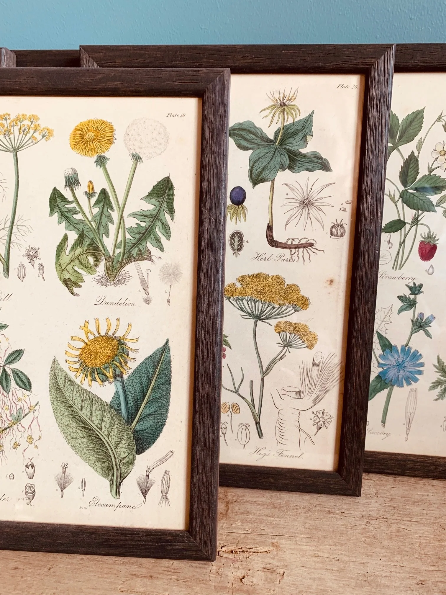 SET OF FIVE FRAMED BOOK PLATES £130