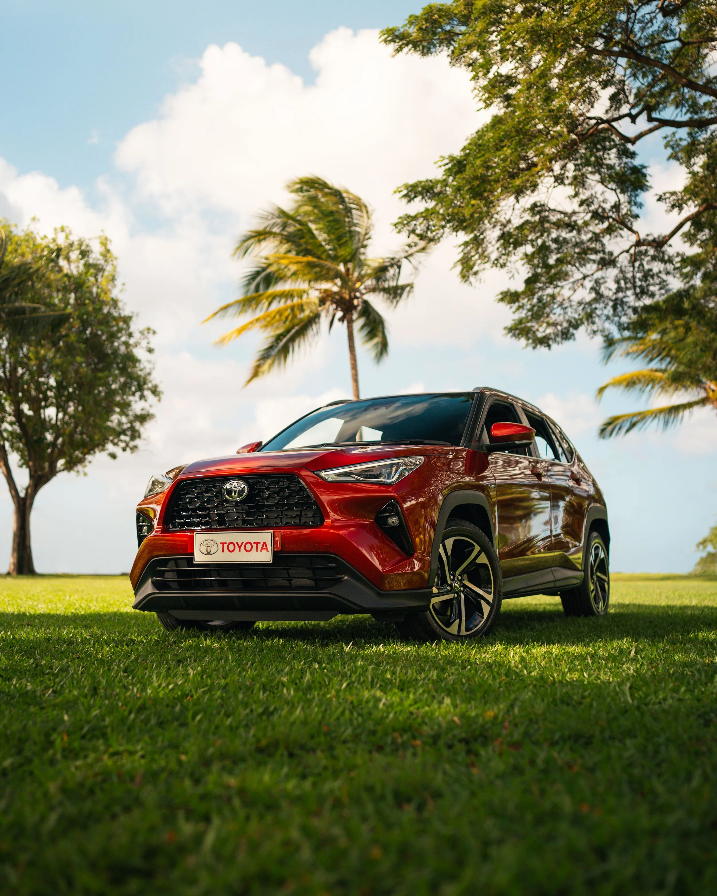 YarisCross4x5.jpg