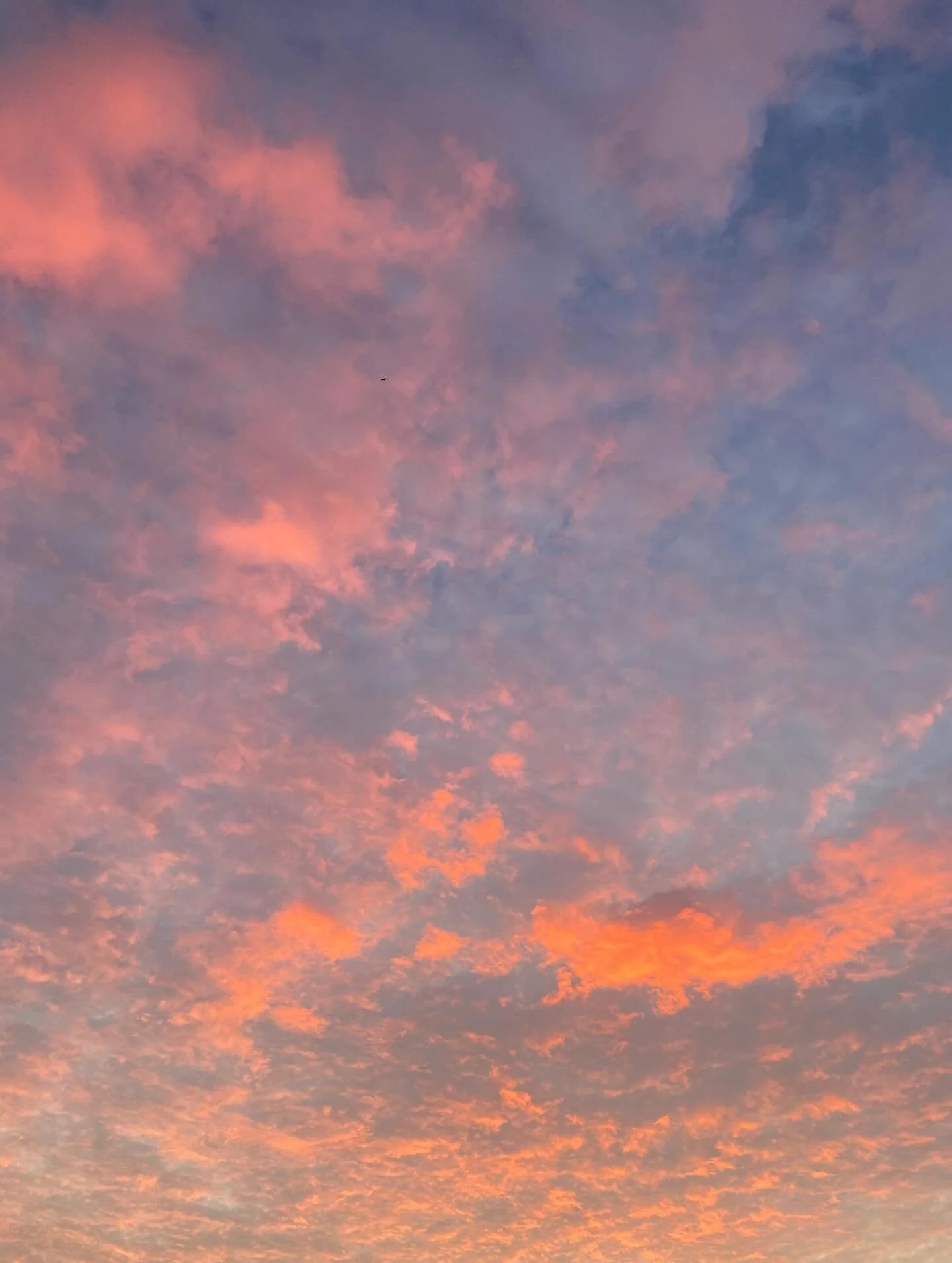 Your desired future isn&rsquo;t devoid of challenges - it&rsquo;s shaped through it. 

When life feels like it&rsquo;s falling apart, trust that it&rsquo;s being rearranged for your highest good. The key isn&rsquo;t to bypass how you feel, but to hol
