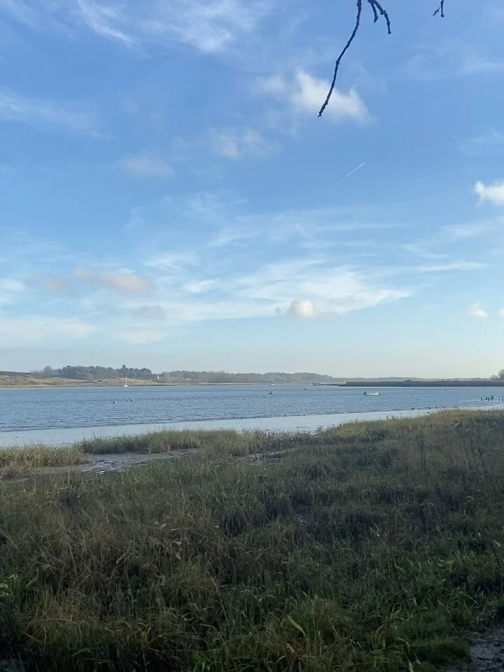 A day by the water listening to the birds, watching the waves in the wind and witnessing two seals playing.

This is where I find my place of ground and expansion. In deep appreciation 🌊🌊🌊