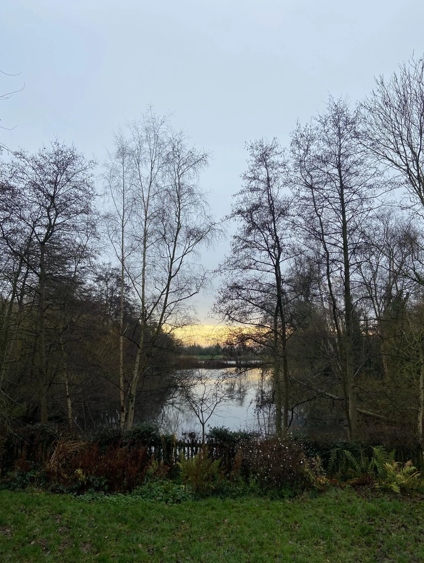 I bumped into someone I hadn&rsquo;t see in a long time at the ladies ponds yesterday. 

(Yes it was freezing and yes I swim throughout the year)

We shared memories of watching the seasons cycle as we circled around this body of water: Watching the 
