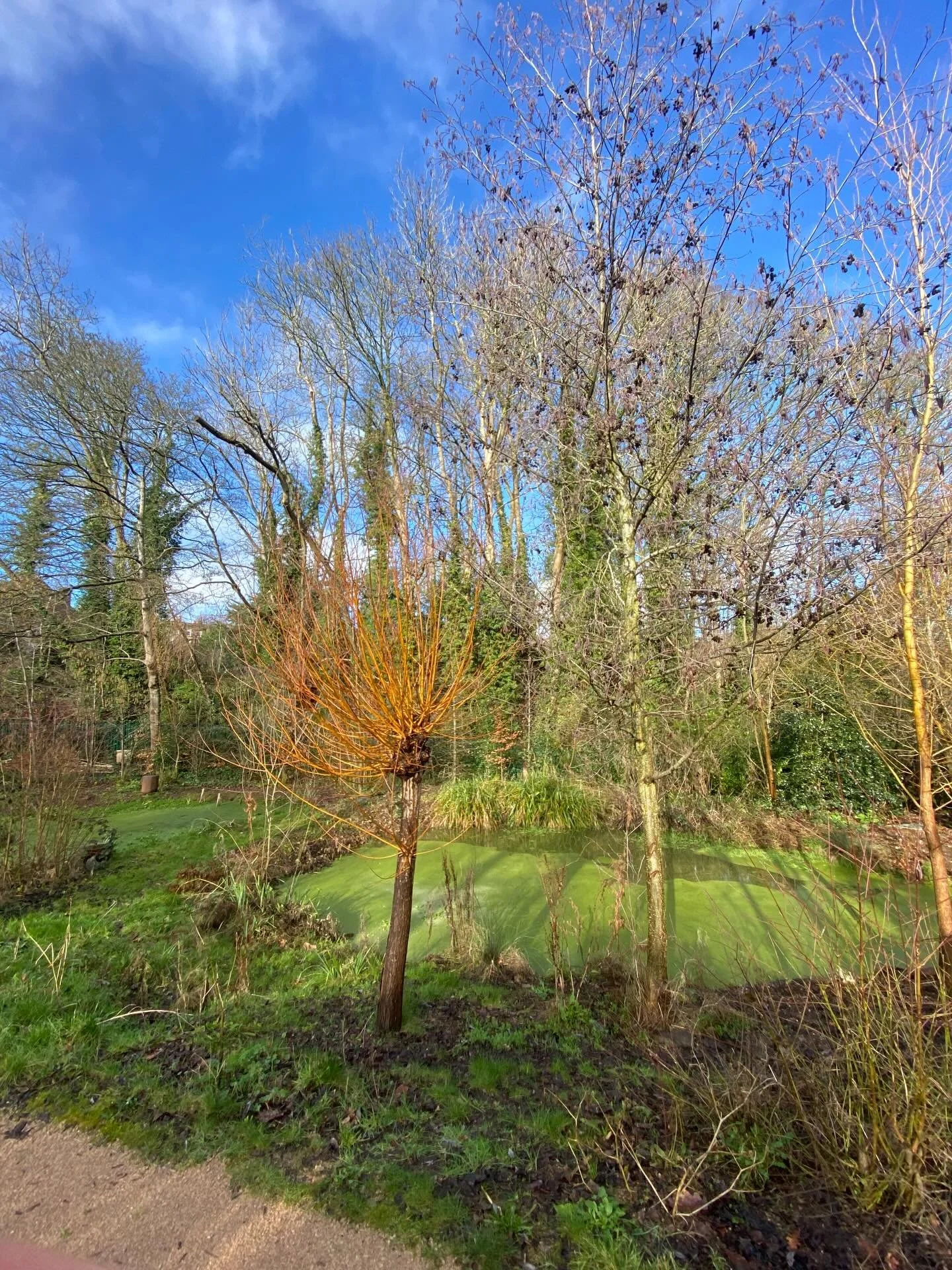 February. Wet but wonderful (with the most delicious days of spring like sun) 💛💚