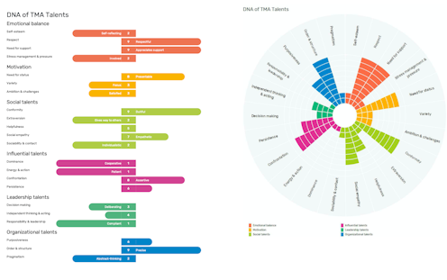 Diagram van DNA van TMA Talents met categorieën zoals emotioneel evenwicht, motivatie, sociale talenten, invloedrijke talenten, leiderschapstalent en organisatorisch talent, elk gepresenteerd met bijpassende kleuren en beschrijvingen.