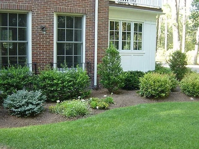 The Importance of Regular Pest Control This Summer in the Newton and Sudbury, MA Areas